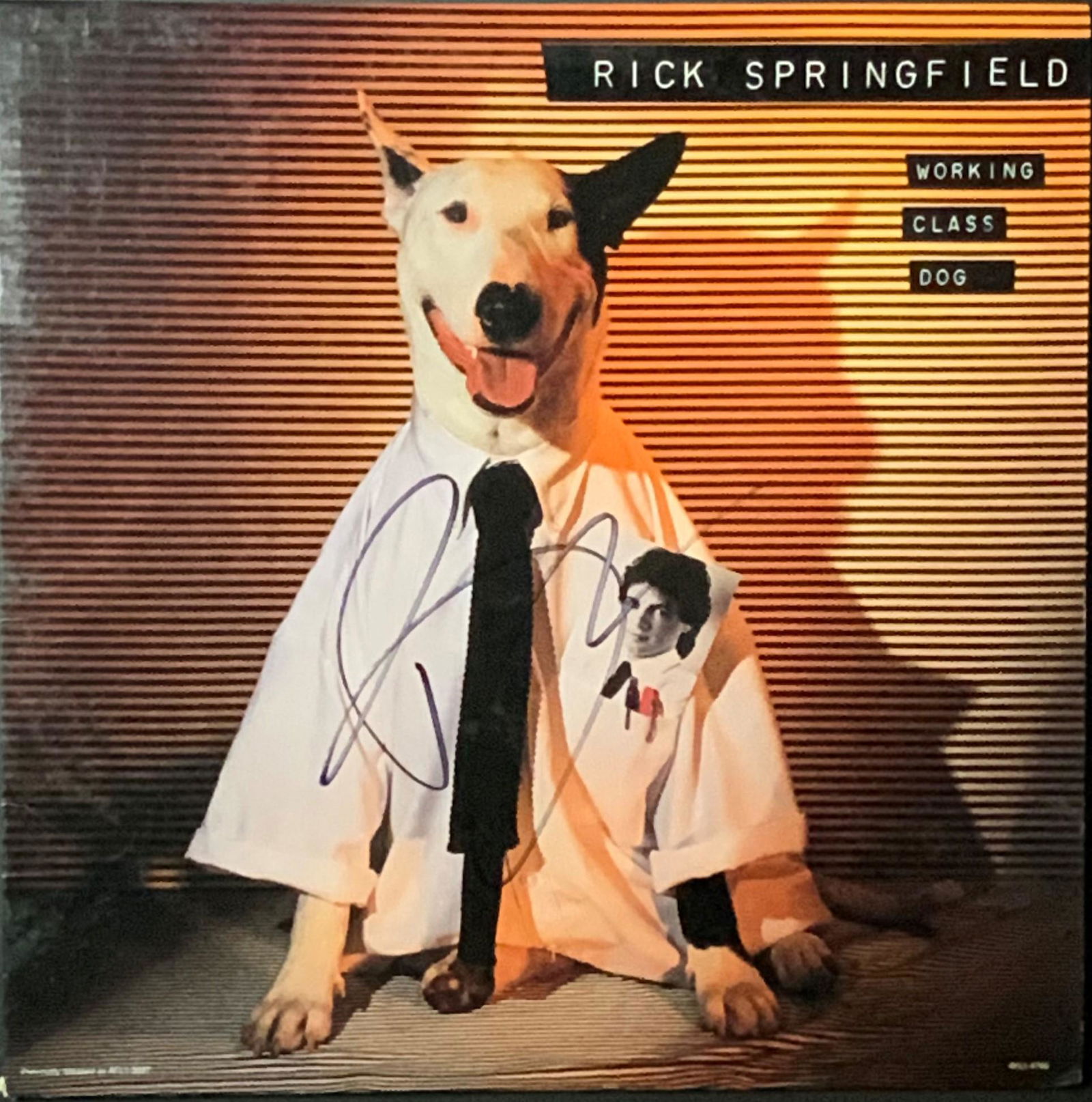 Rick Springfield Autographed Album Cover (1 of 1)