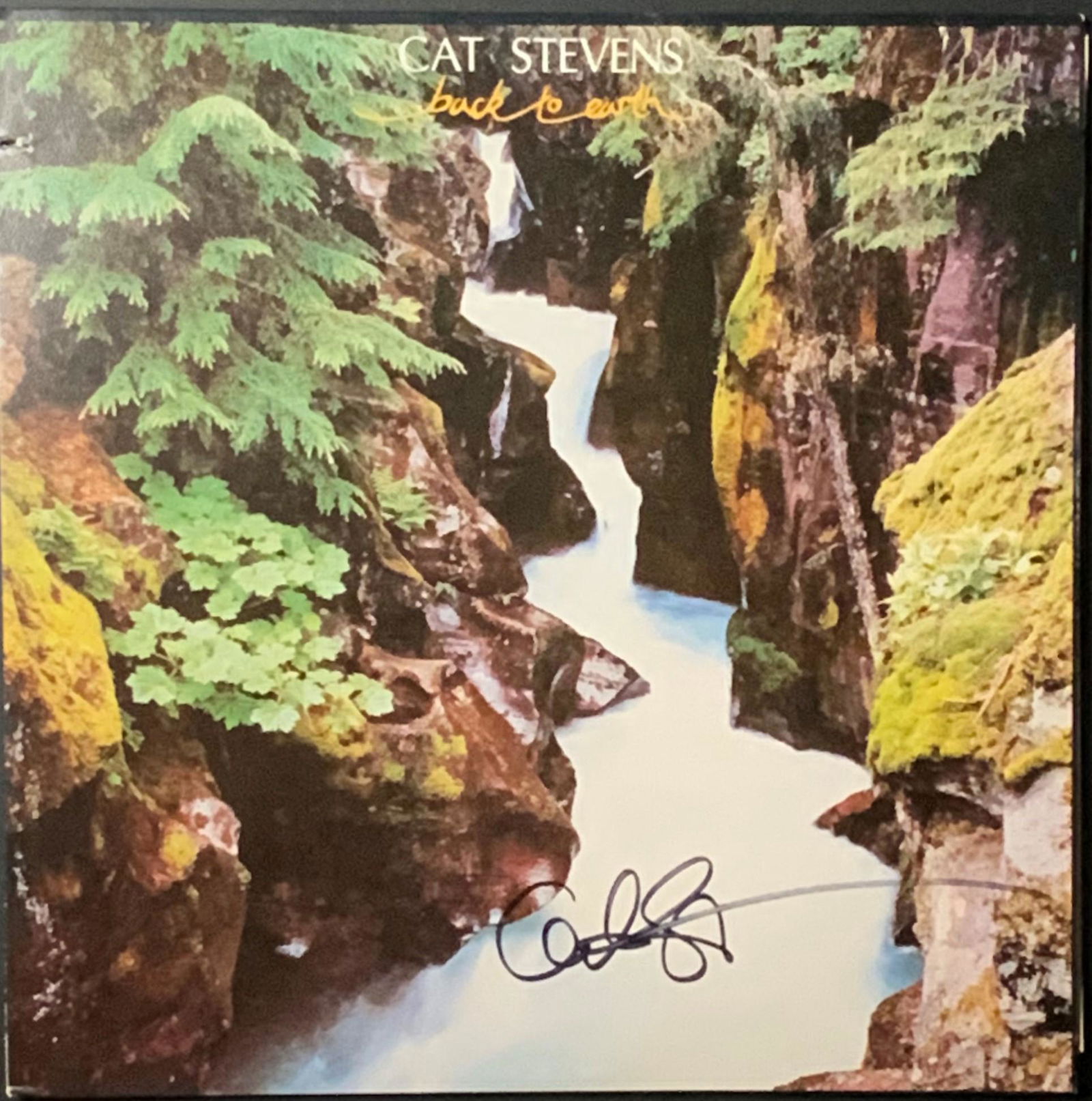 Cat Stevens Autographed Album Cover (1 of 1)
