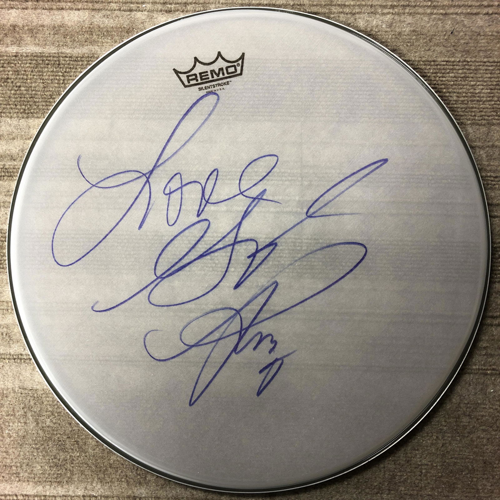 Prince Drum Head (1 of 1)