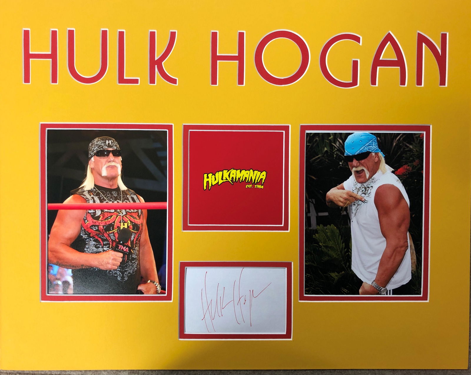 Hulk Hogan Cut Autograph Display NOT FRAMED (1 of 1)