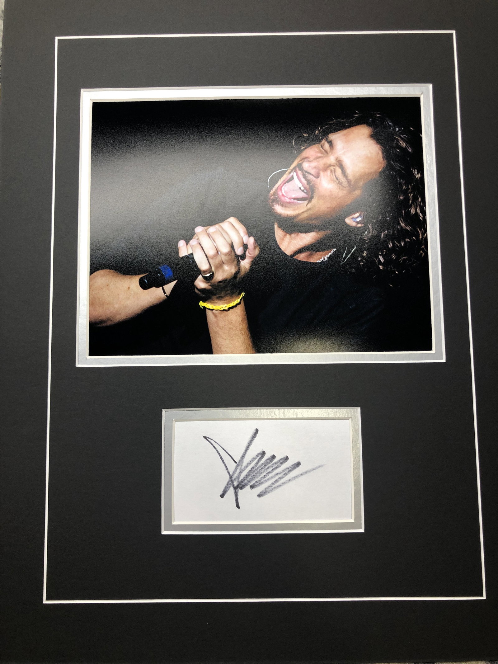 Chris Cornell Autograph Display, MOCK UP, not framed (1 of 1)