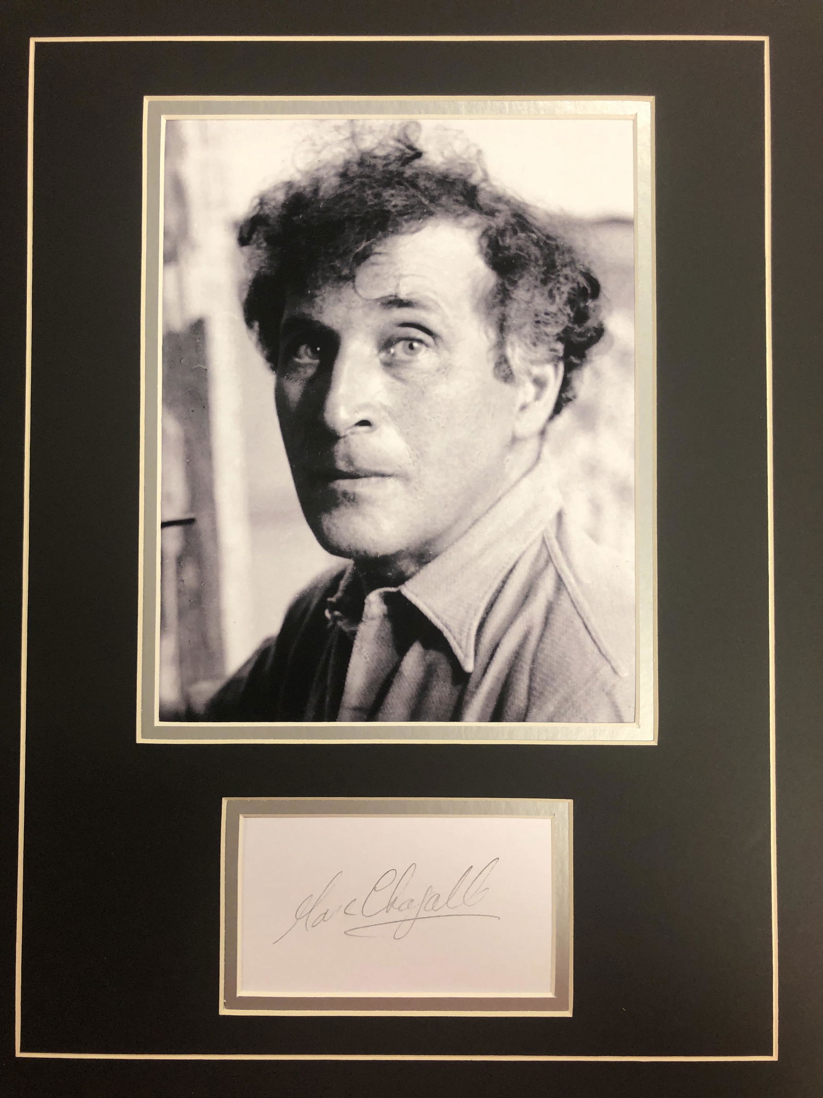Marc Chagall Autograph Display (1 of 1)