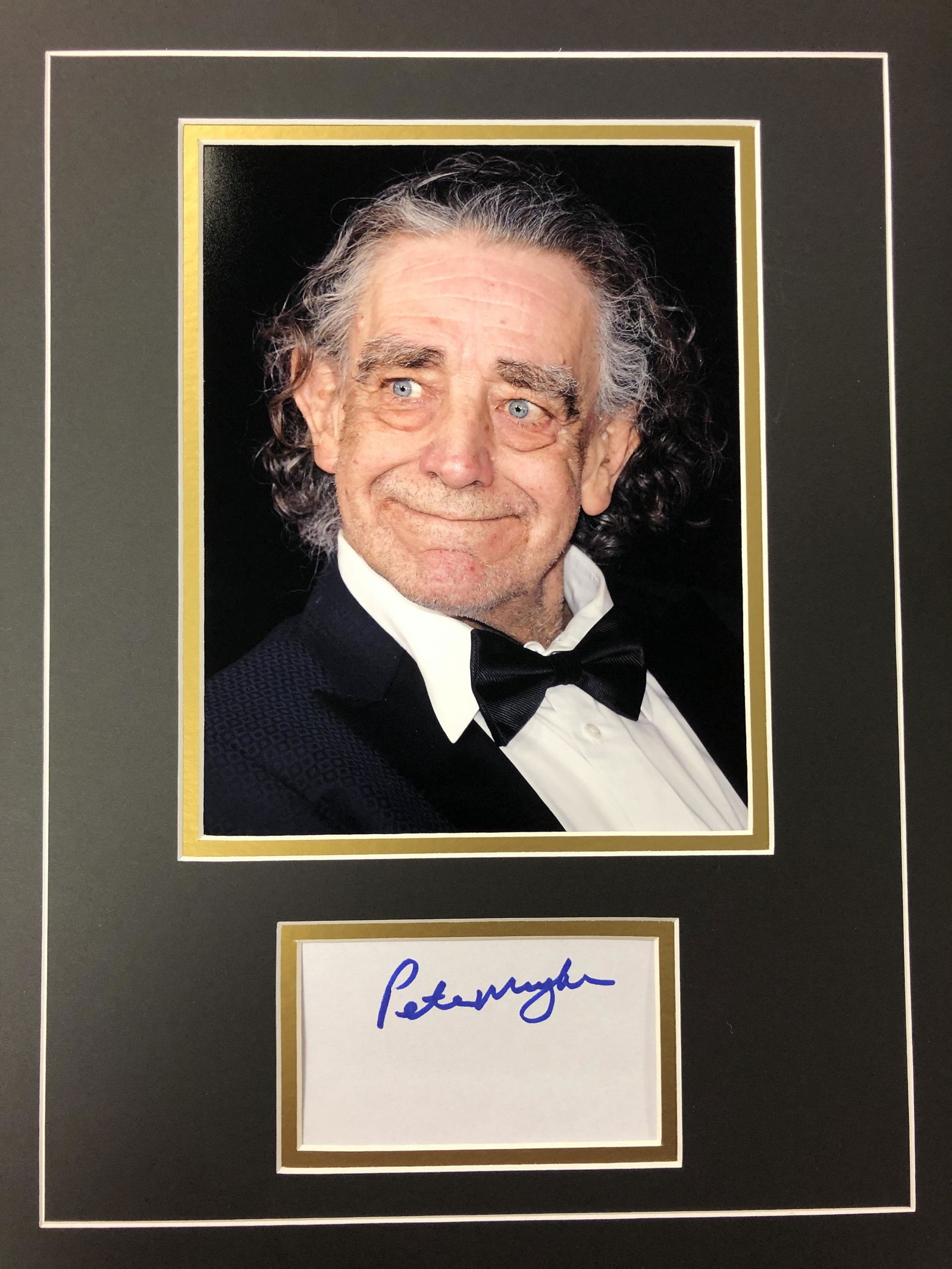 Peter Mayhew Autograph Display (1 of 1)