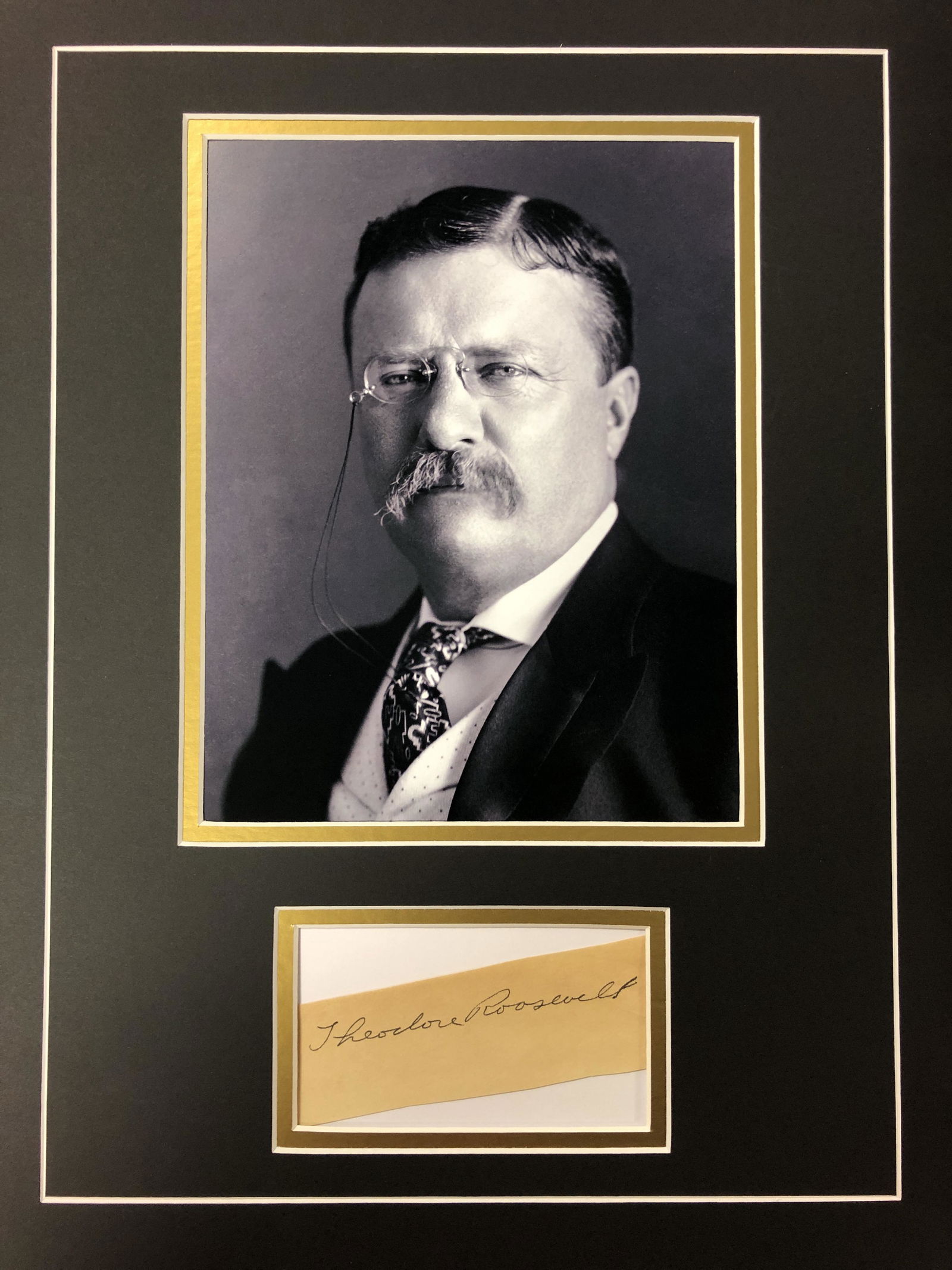 Theodore Roosevelt Autograph Display (1 of 1)