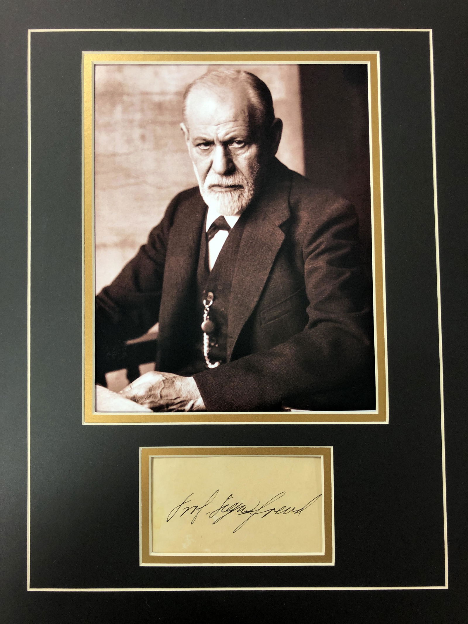 Sigmund Freud Autograph Display (1 of 1)