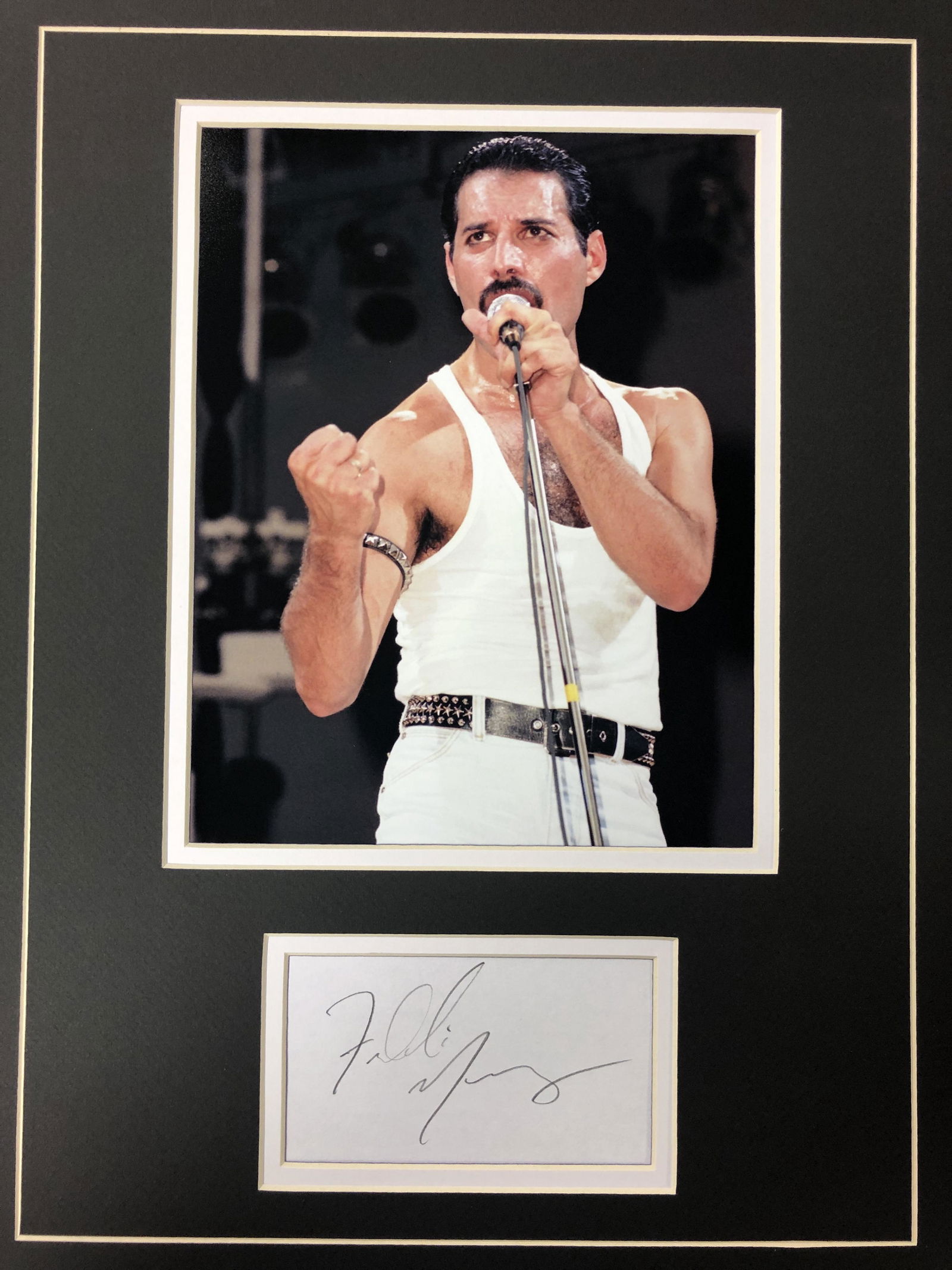 Freddie Mercury Autograph Display (1 of 1)