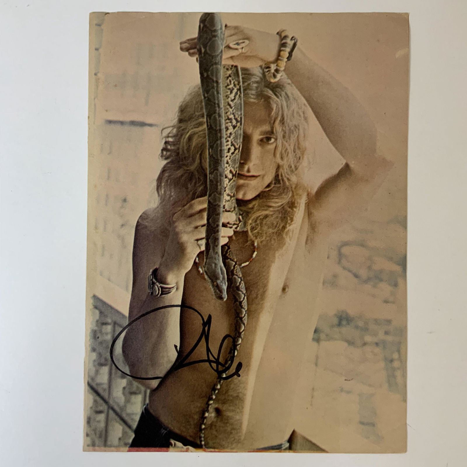 Robert Plant Autographed Magazine Photo (1 of 1)