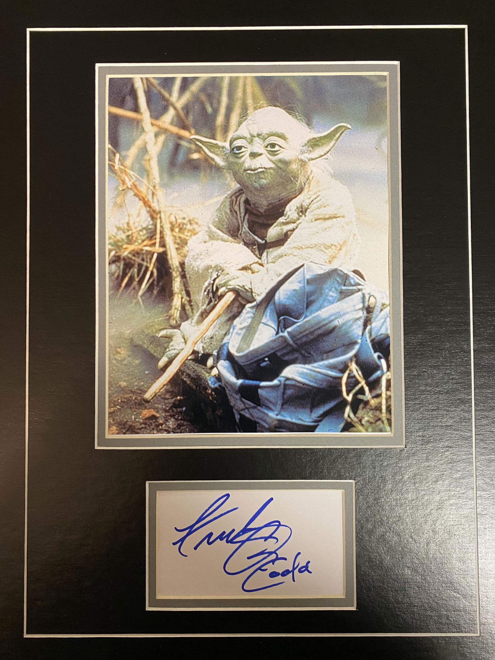 Frank Oz Autograph Display (1 of 1)