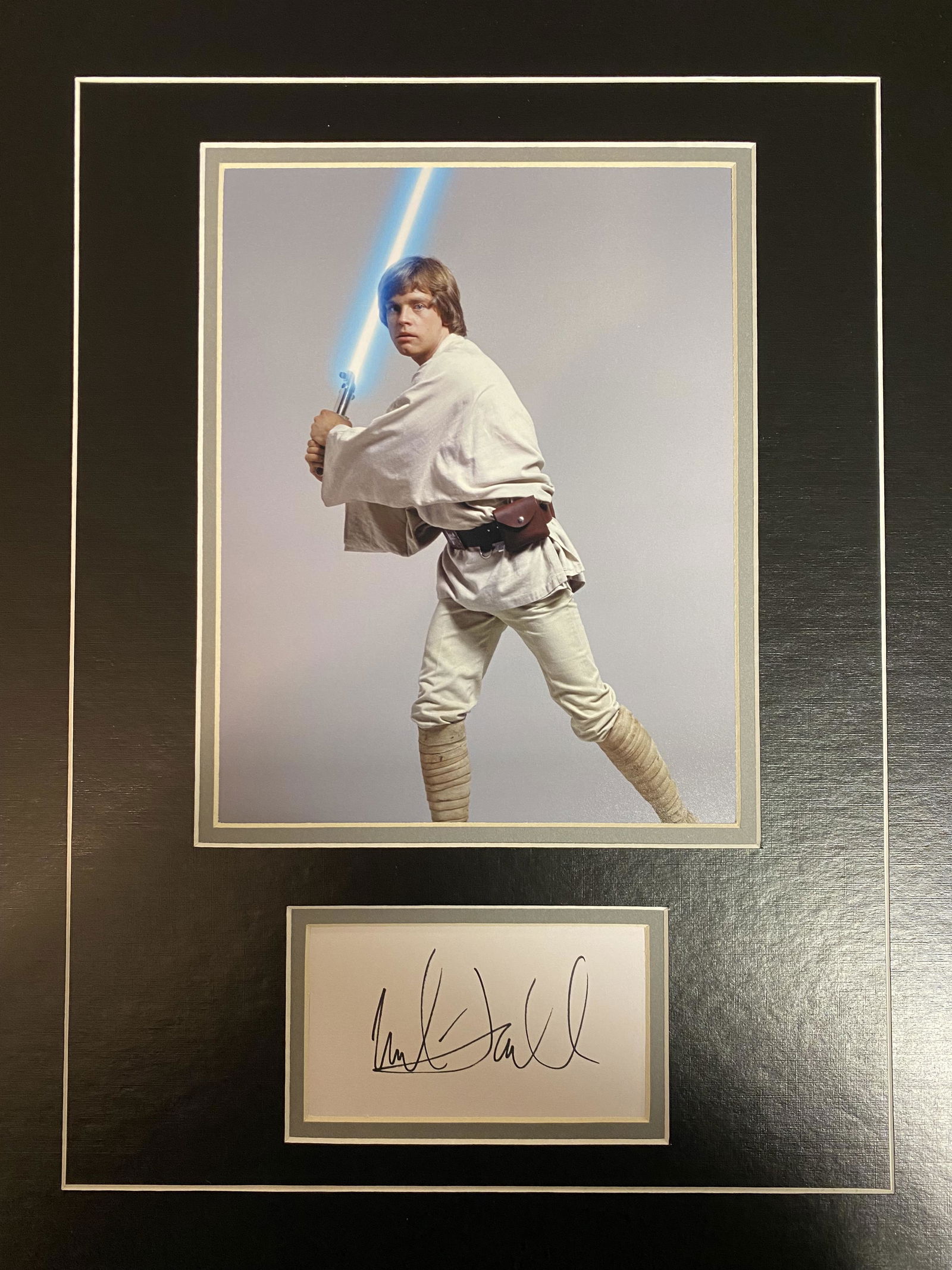 Mark Hamill Autograph Display (1 of 1)