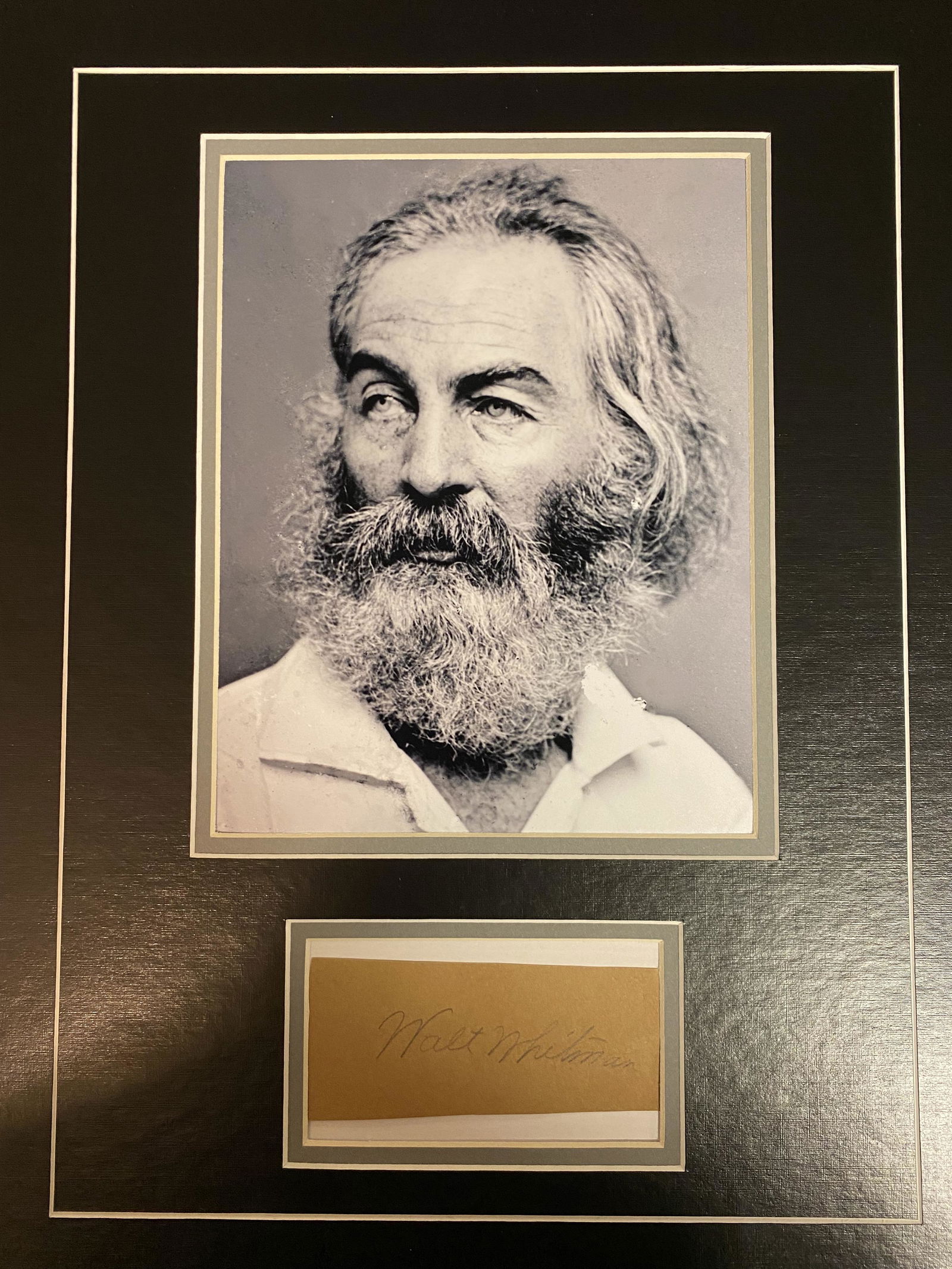 Walt Whitman Autograph Display (1 of 1)