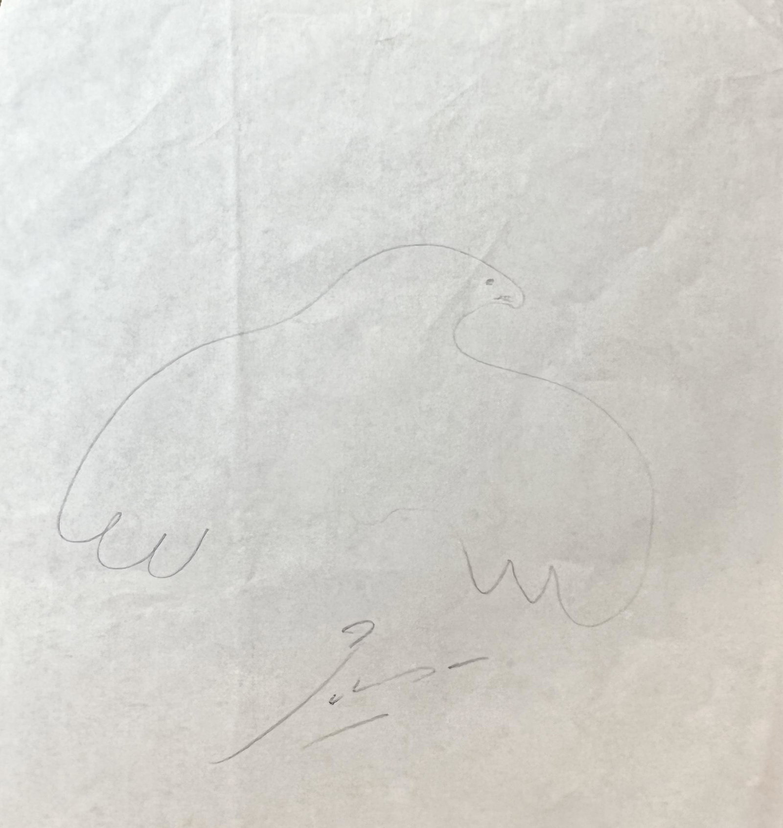 Picasso Autographed Sketch!: Displays are not framed, and can be framed for a cost. Framed items will state they are framed in the name of the item. All signed items come with a COA. Ask any and all questions BEFORE bidding. Sign