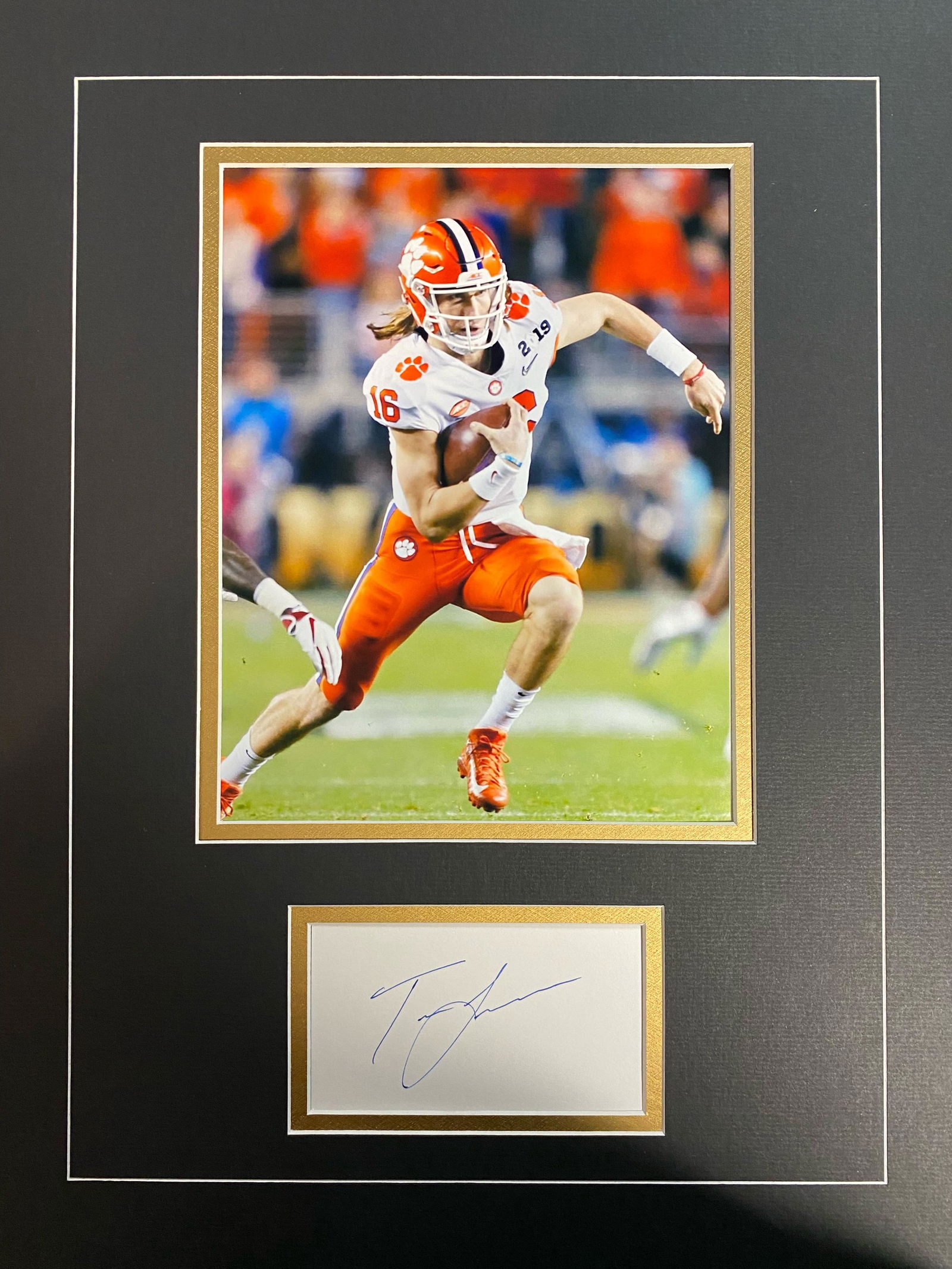 Trevor Lawrence Autographed Display (1 of 1)