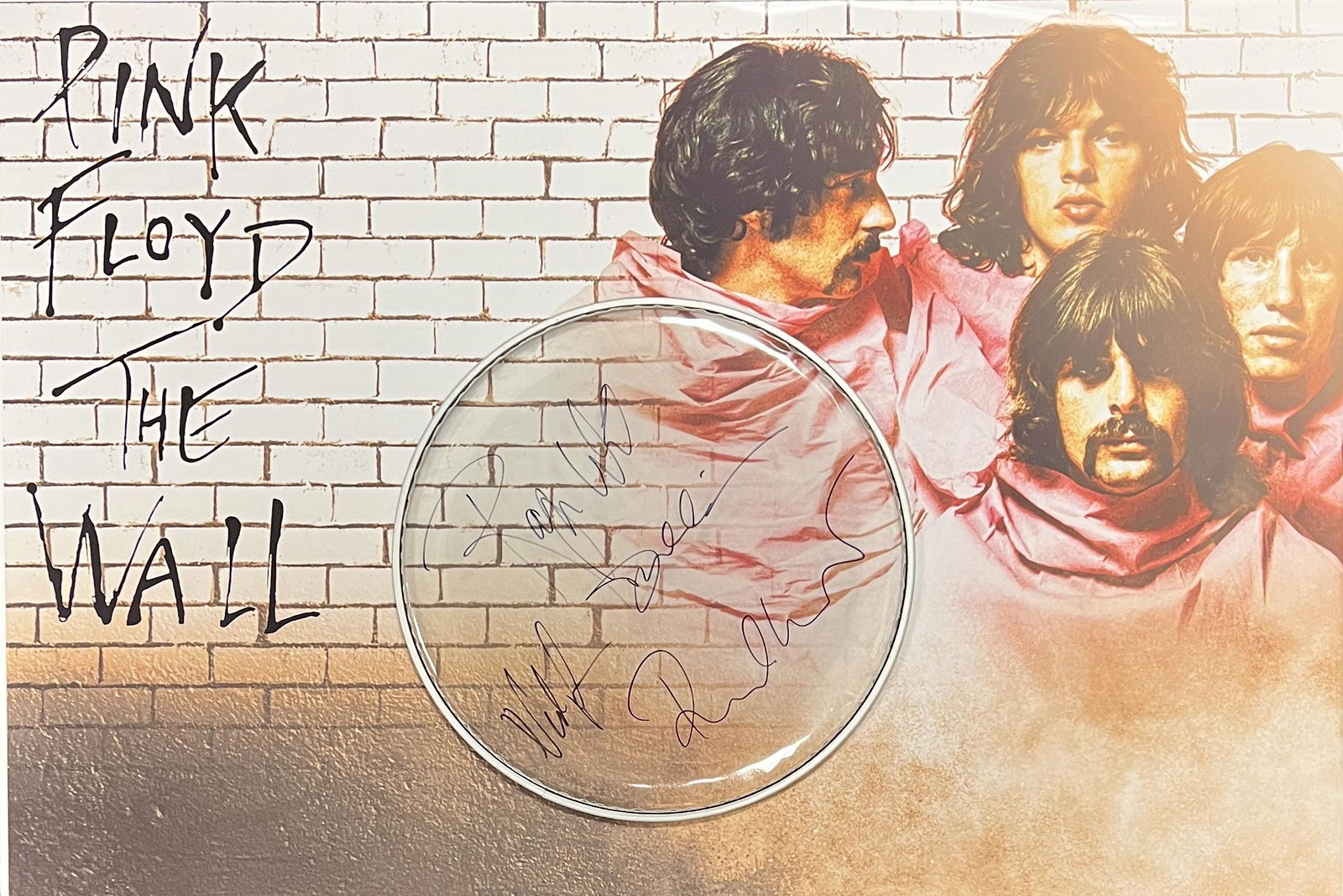 Pink Floyd Autographed Drumhead Display 24x36! All 4 (1 of 1)