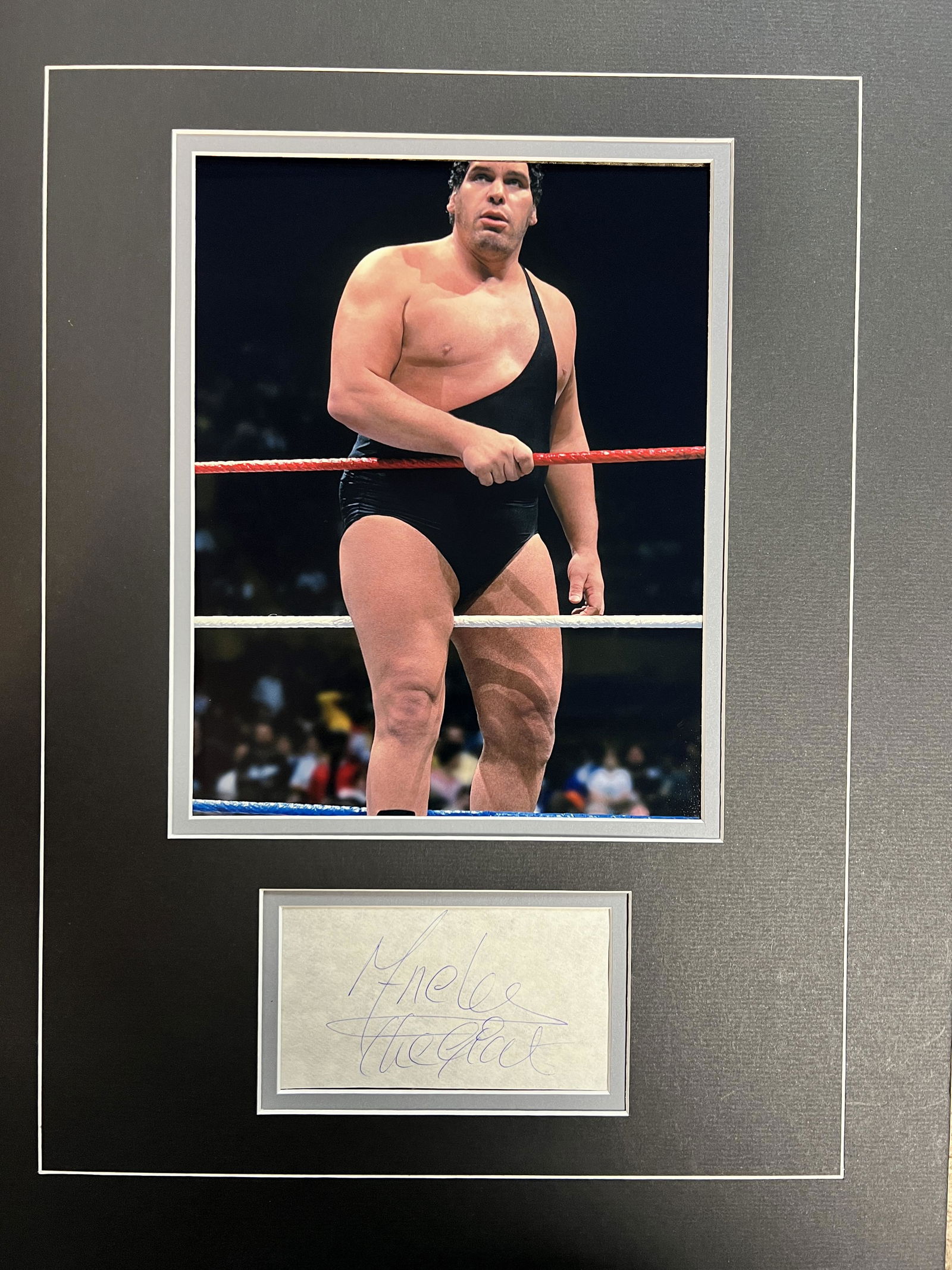 Andre THE Giant Autographed Display (1 of 1)