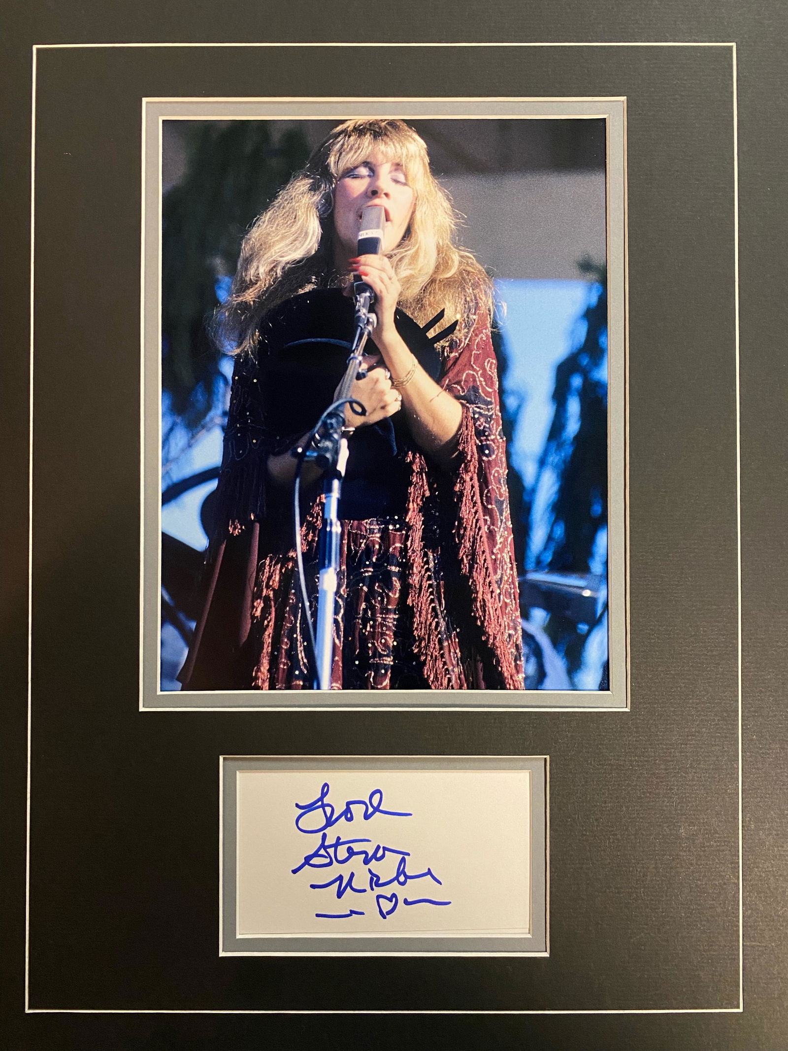 STEVIE NICKS Autographed Display (1 of 1)