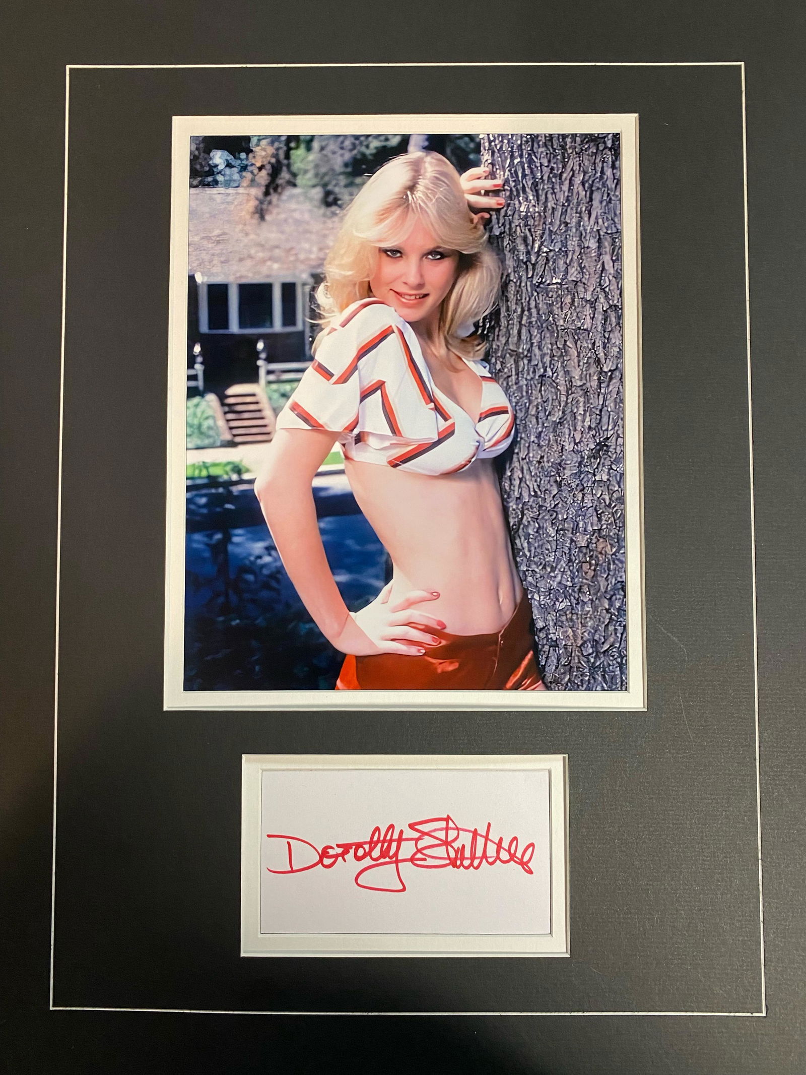 Dorothy Stratten Autographed Display (1 of 1)