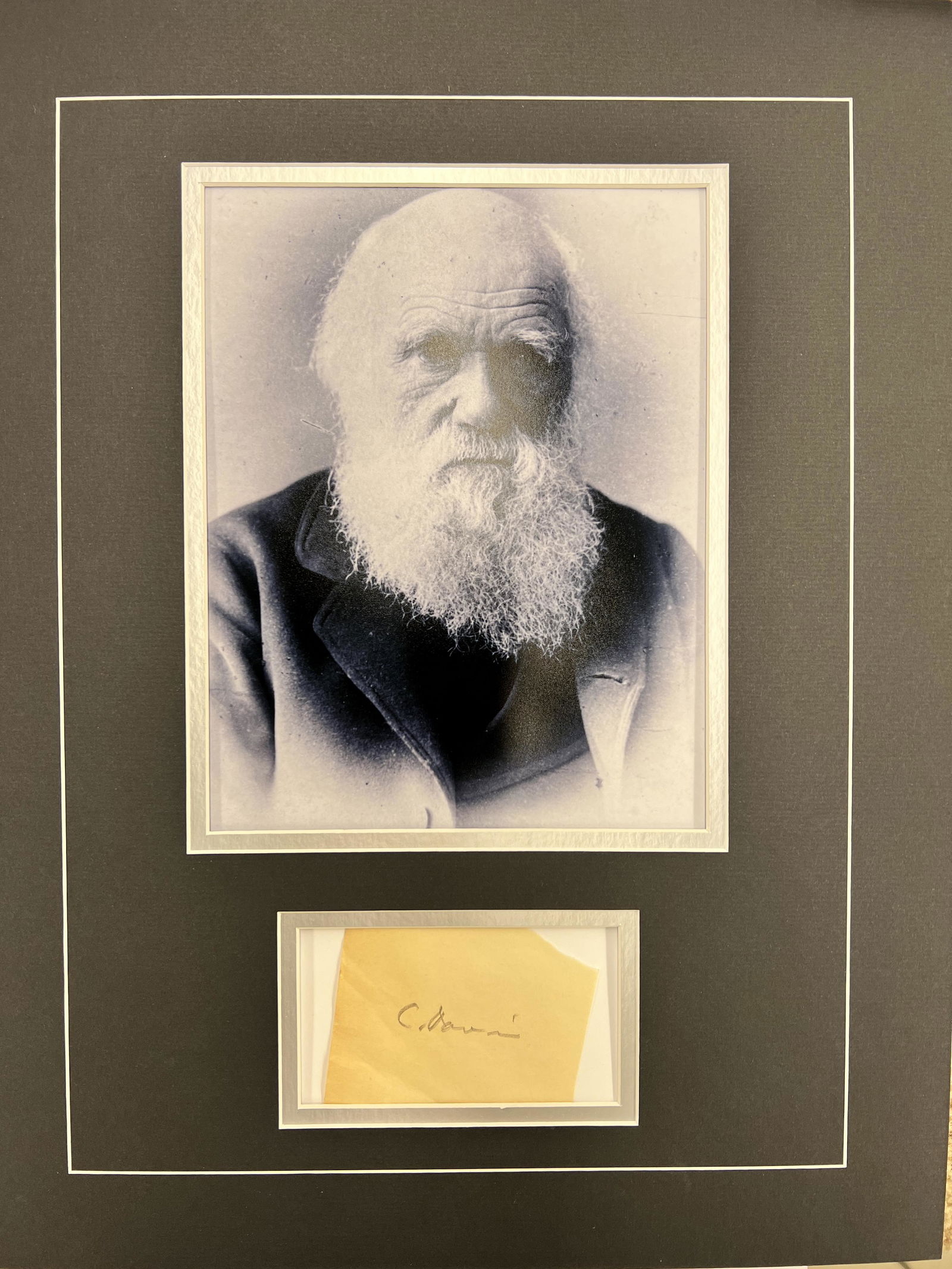 Charles Darwin Autographed Display (1 of 1)