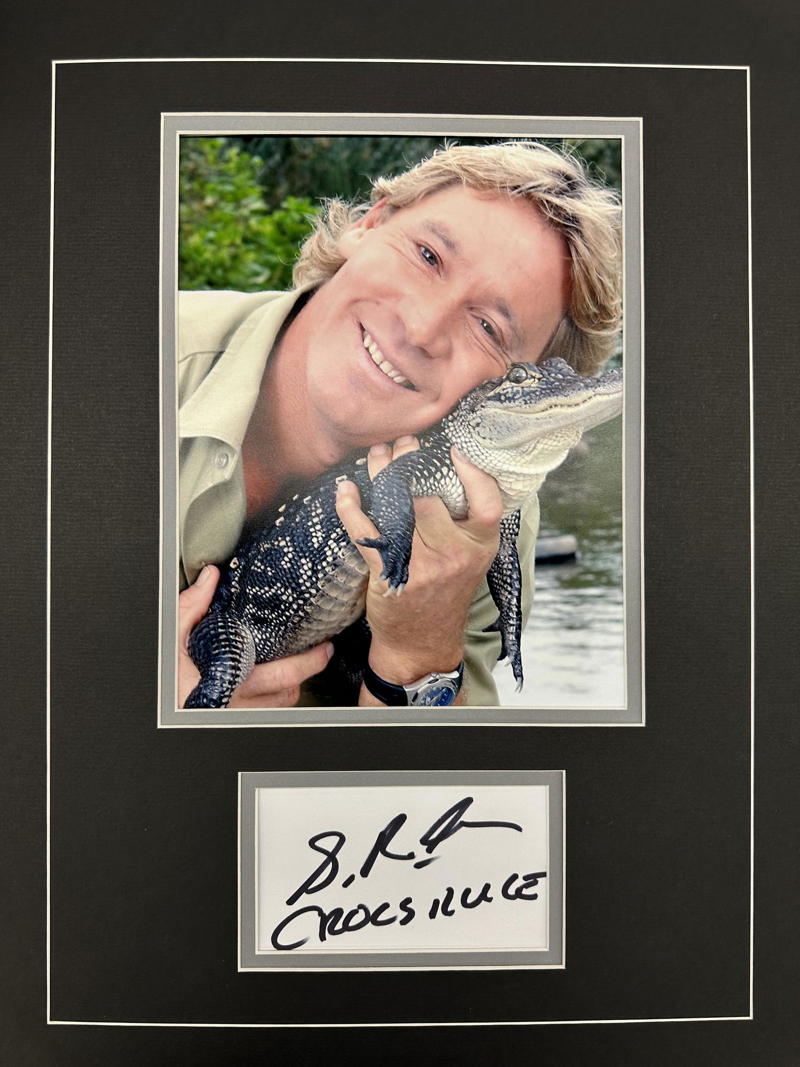 Steve Irwin Autographed Display (1 of 1)