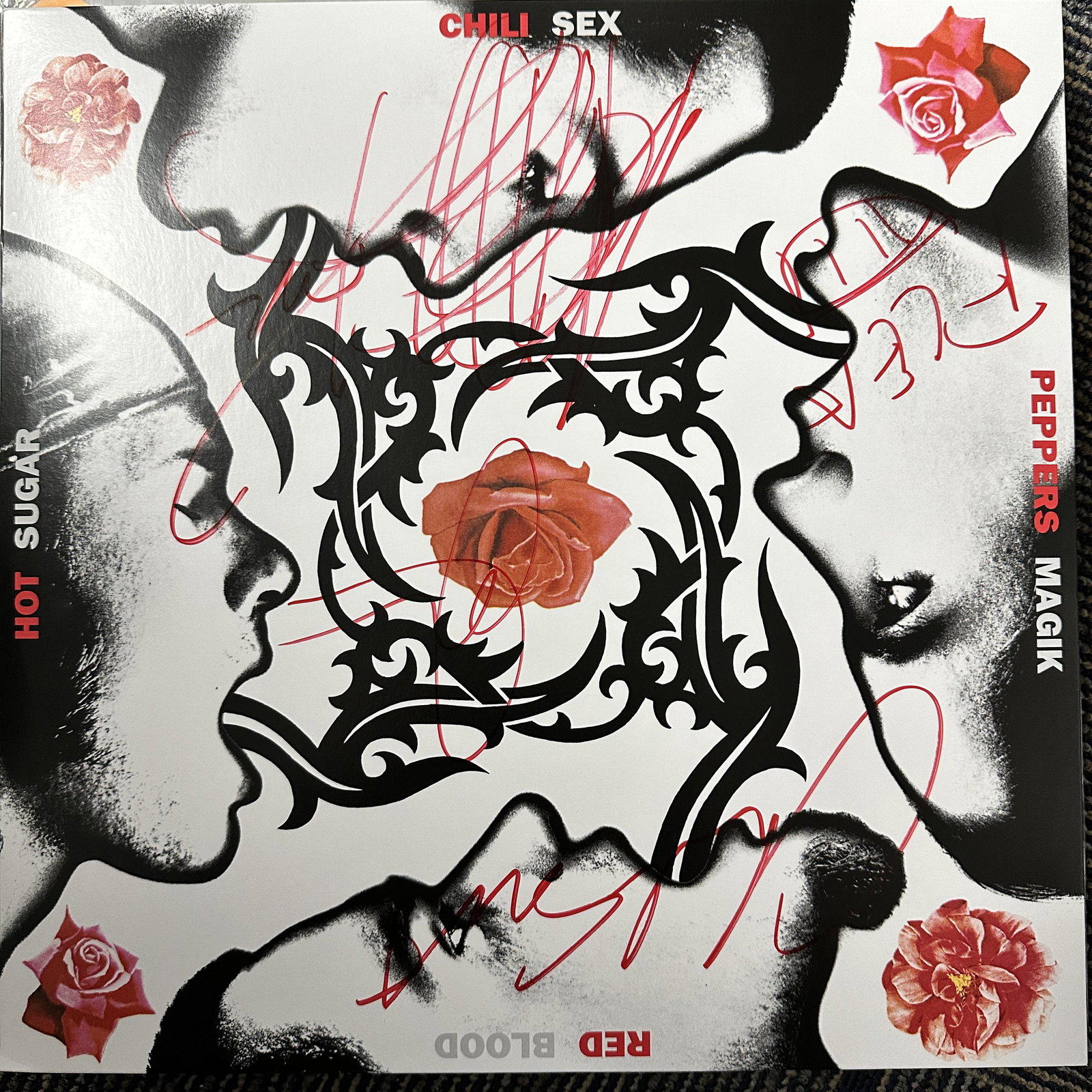 RHCP Autographed Album All 4 FLEA ANTHONY JOHN CHAD: Displays are not framed, and can be framed for a cost. Framed items will state they are framed in the name of the item. All signed items come with a COA. Ask any and all questions BEFORE bidding. Sign