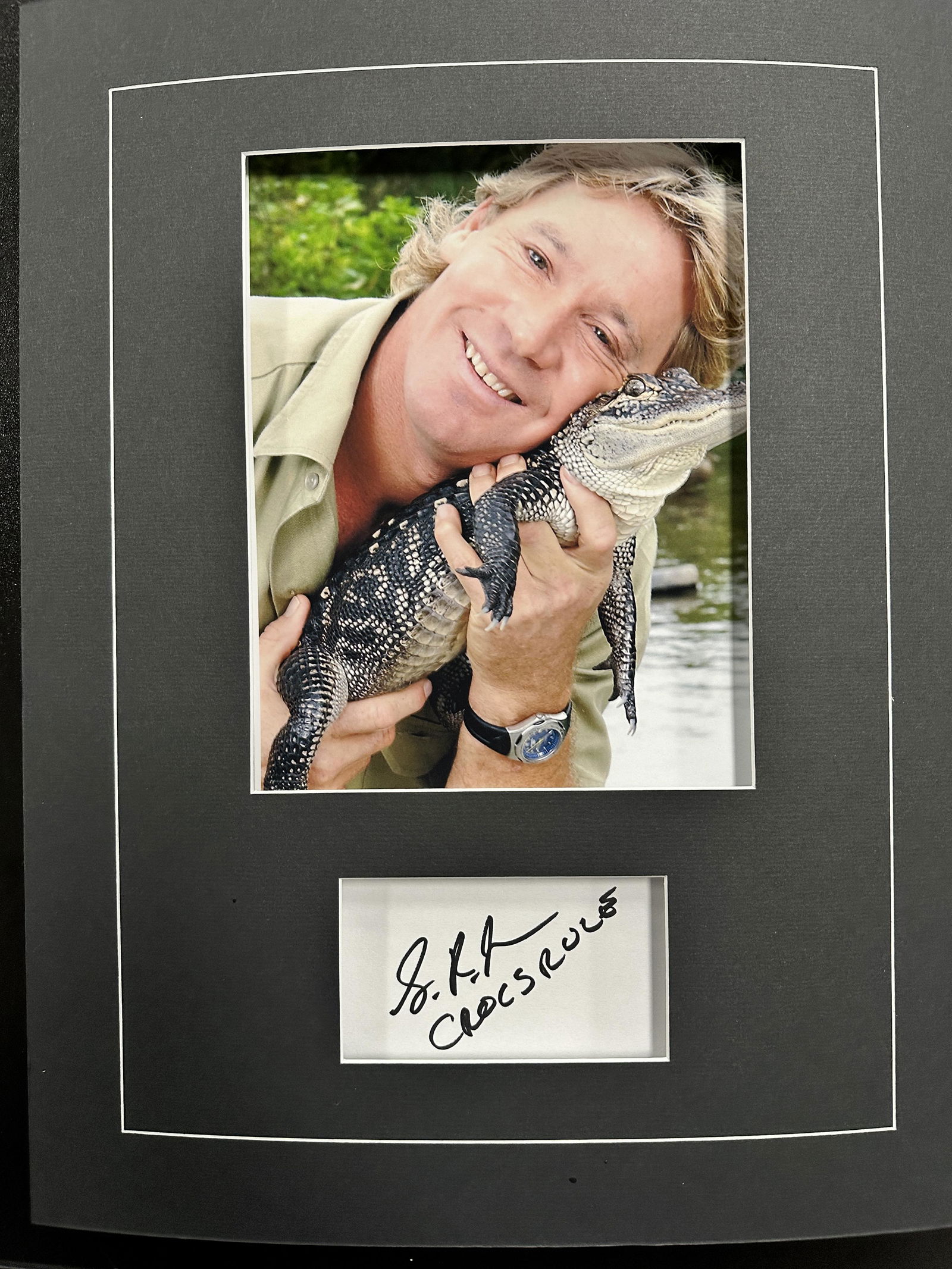 Steve Irwin Autographed Display (1 of 1)