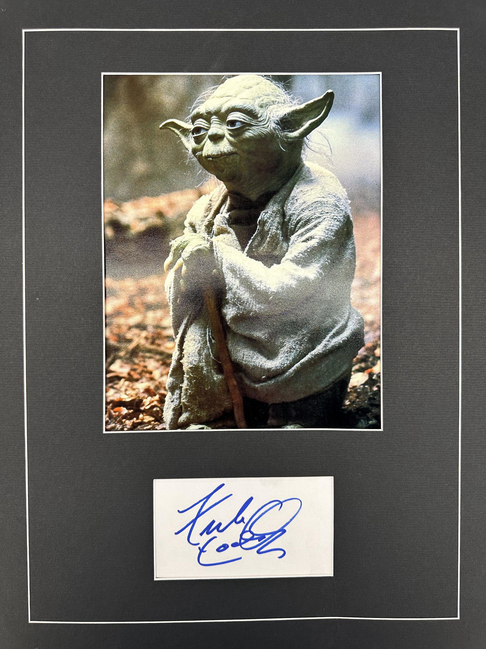 Frank Oz Autographed Display (1 of 1)