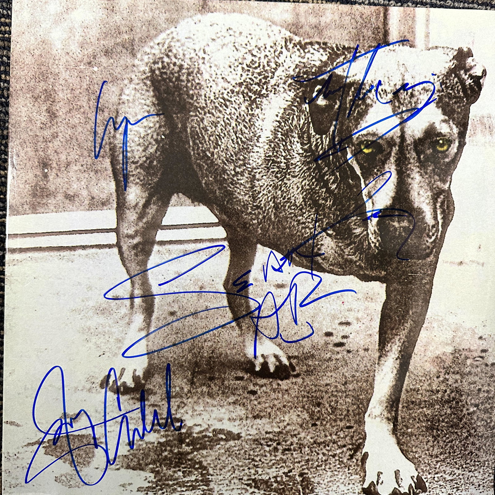 Alice in Chains Autographed Album LAYNE (1 of 1)