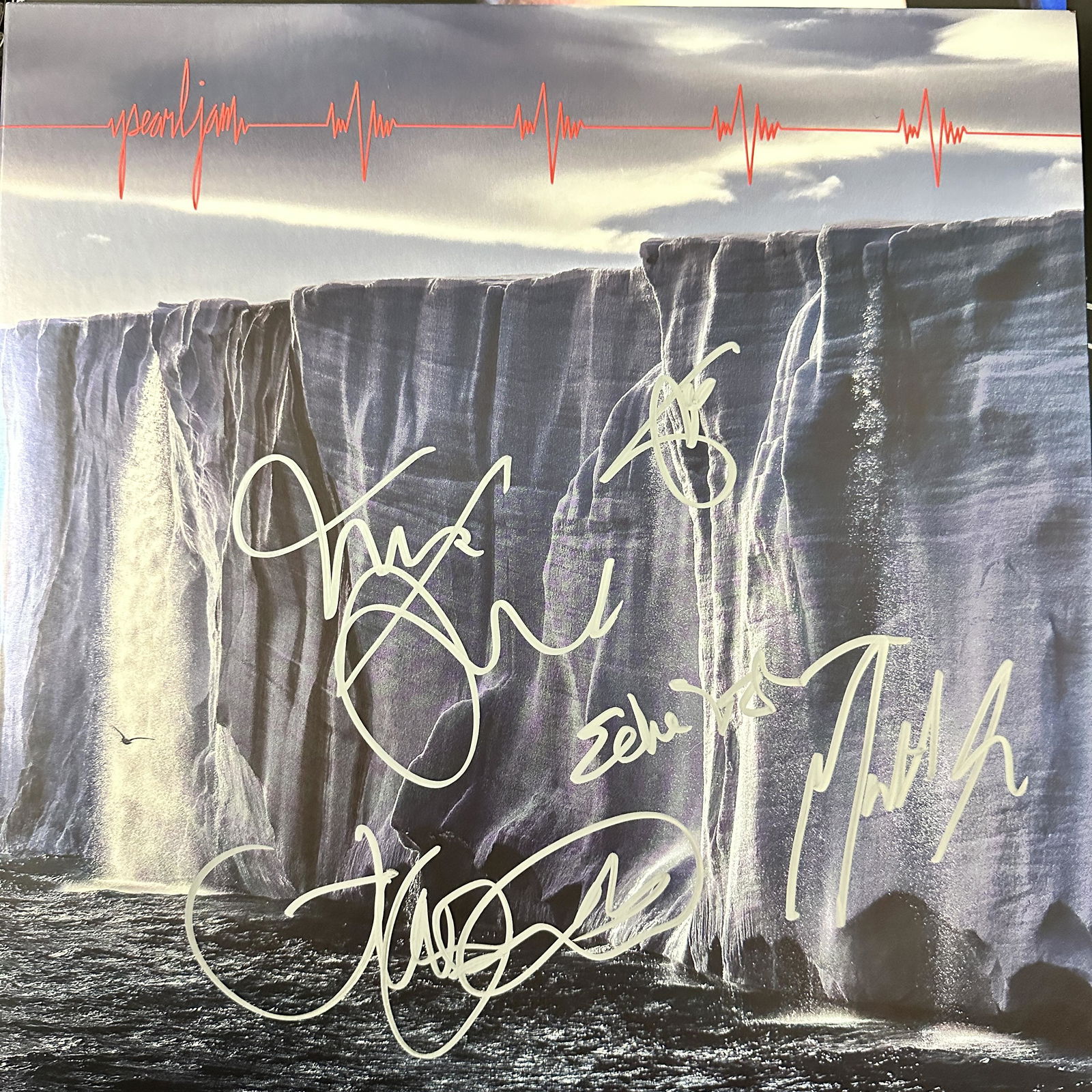 Pearl Jam Autographed Album All 5 (1 of 1)