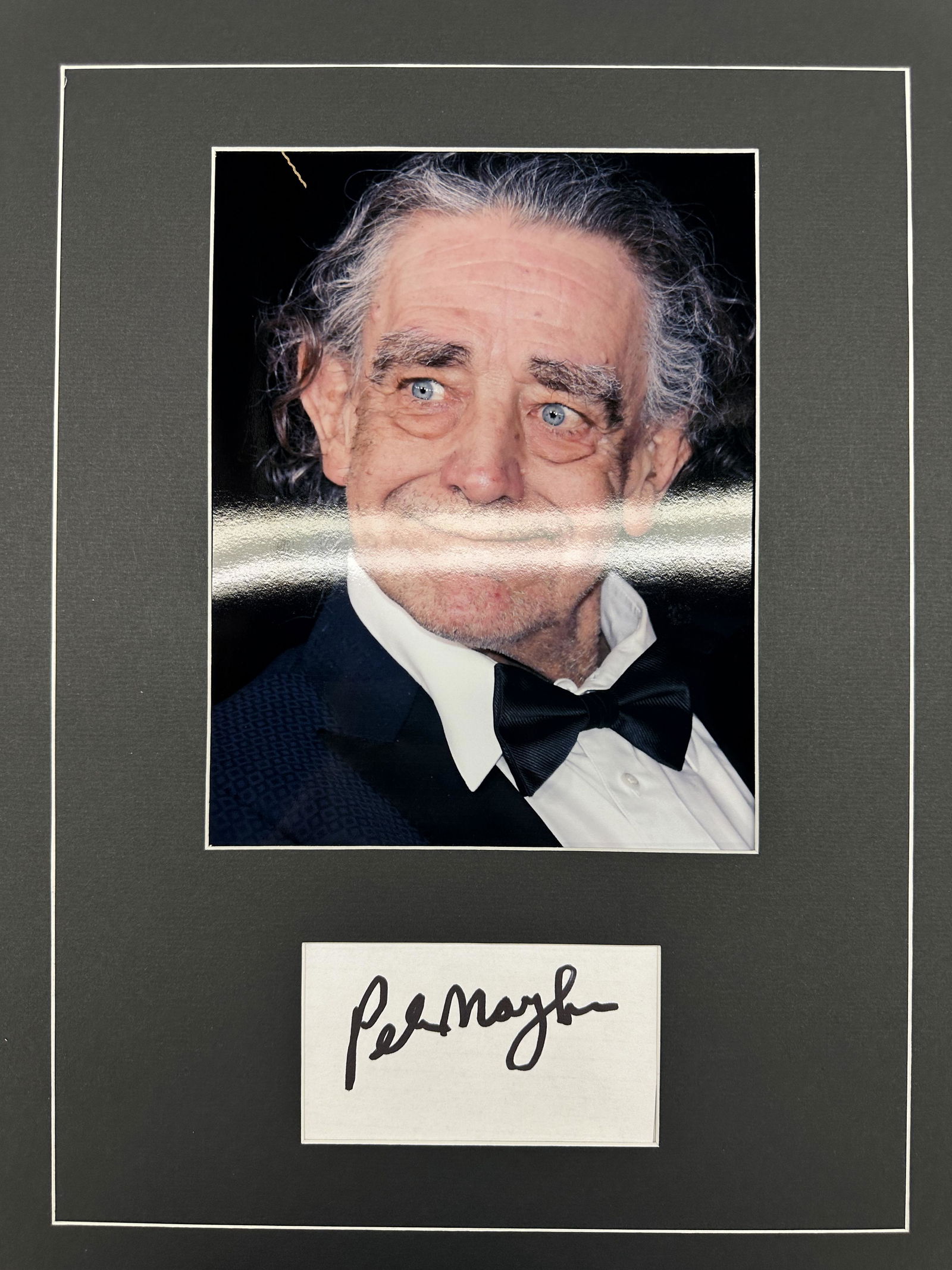 Peter Mayhew Autographed Display (1 of 1)