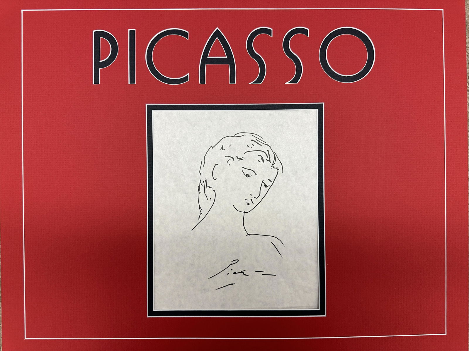 Picasso Hand Drawn Sketch (1 of 1)