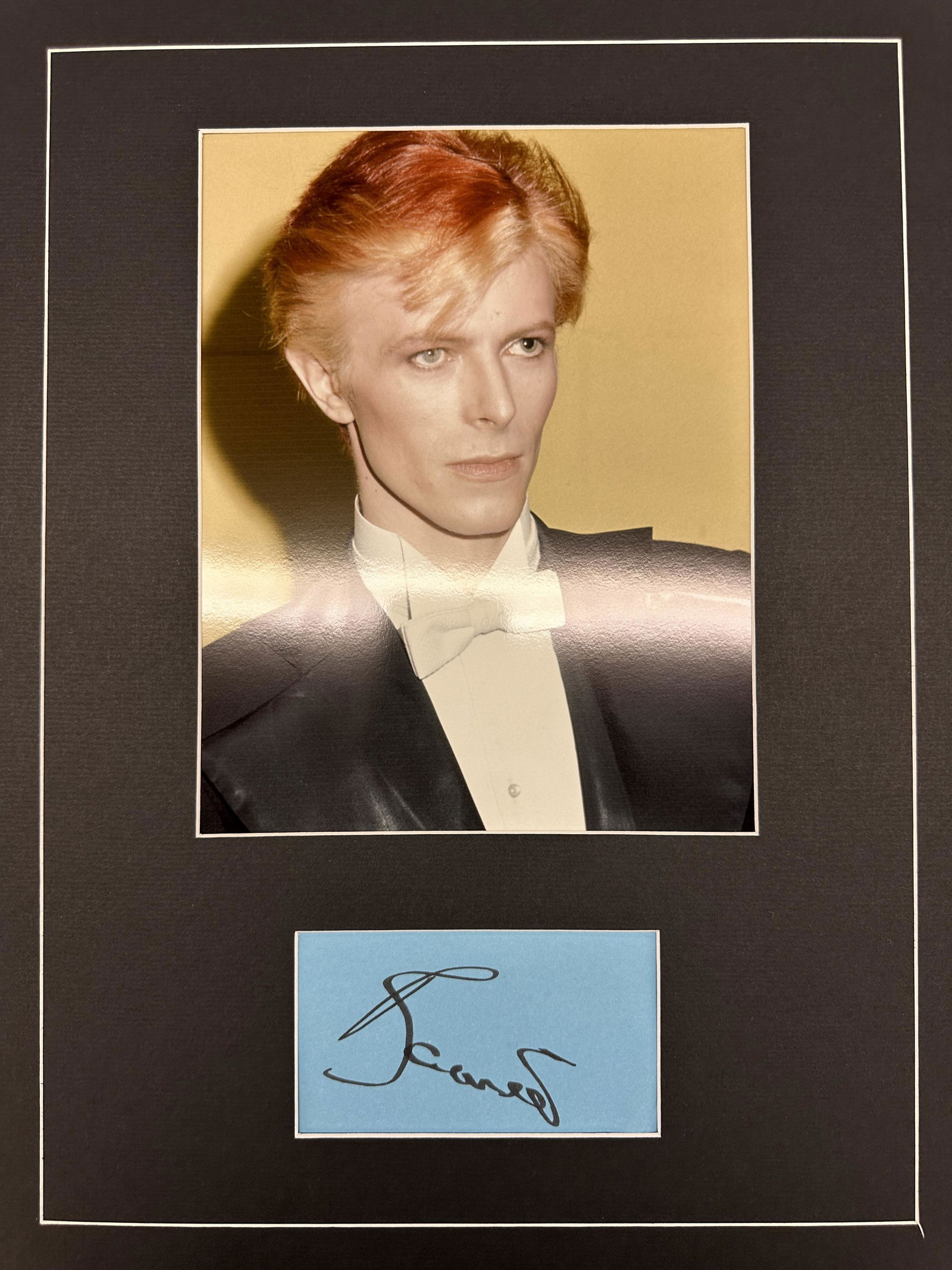 David Bowie AUTOGRAPHED Display (1 of 1)