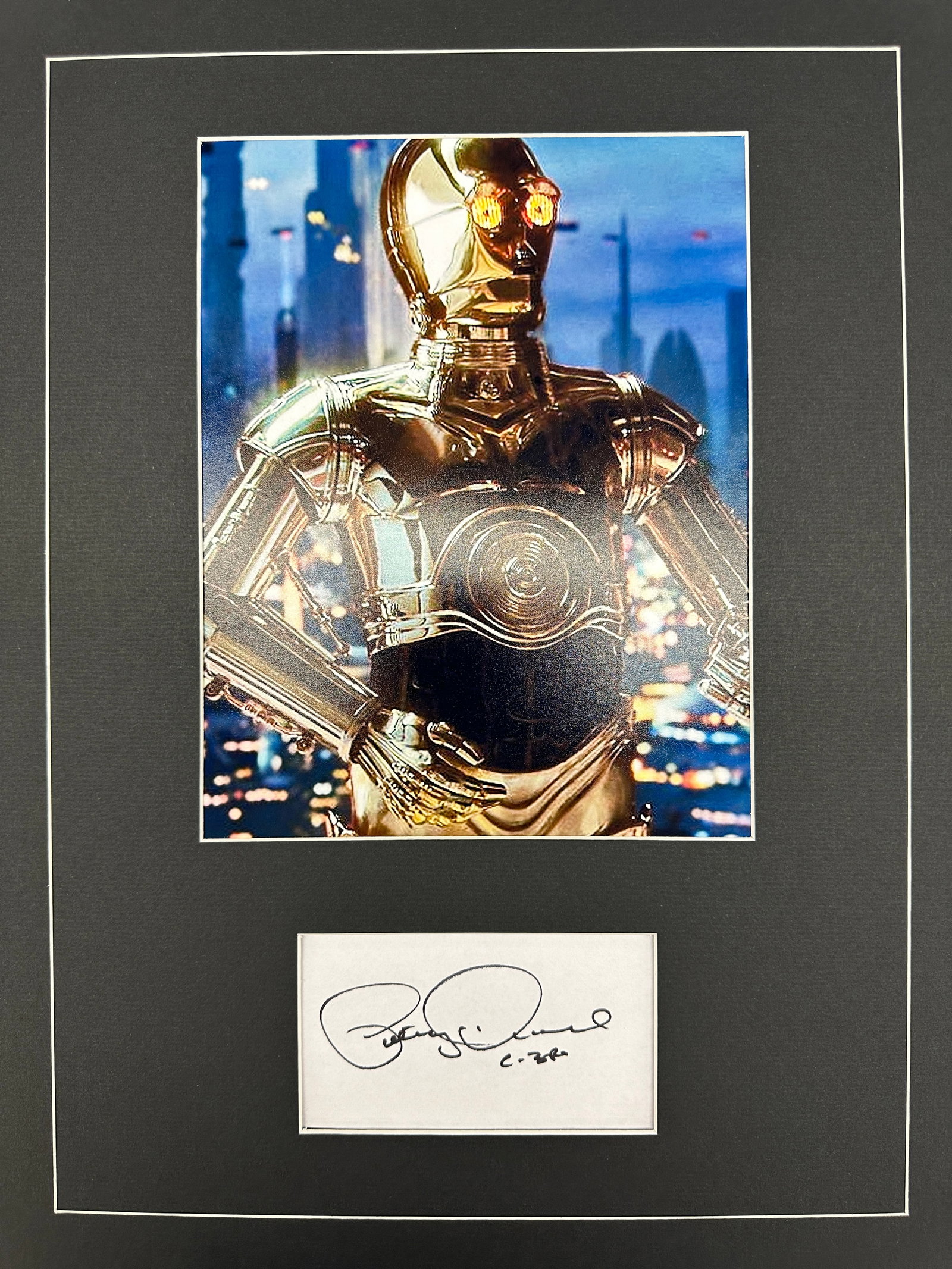 Anthony Daniel Autograph Display (1 of 1)