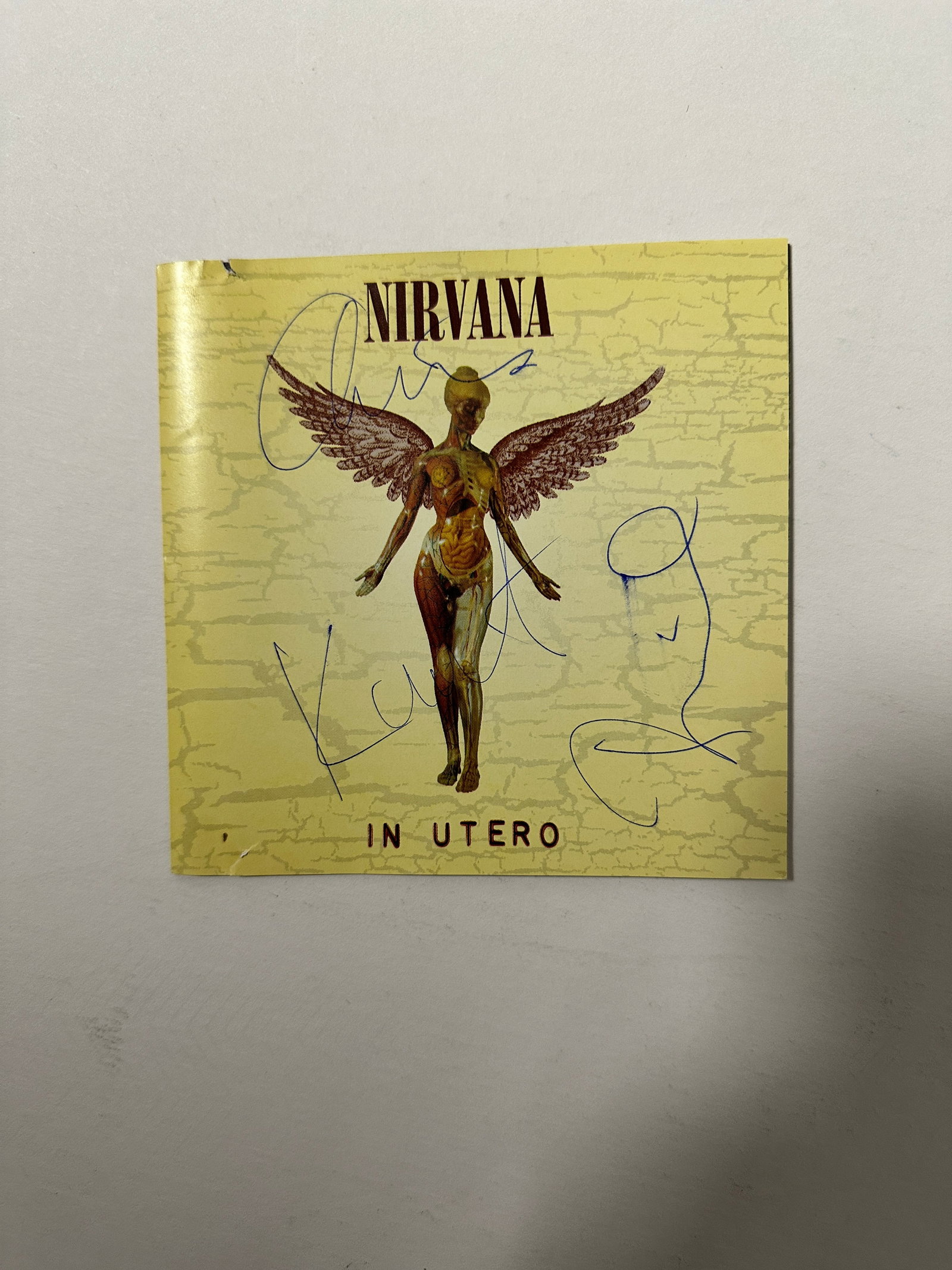 Nirvana Autographed CD Cover ALL 3 (1 of 1)