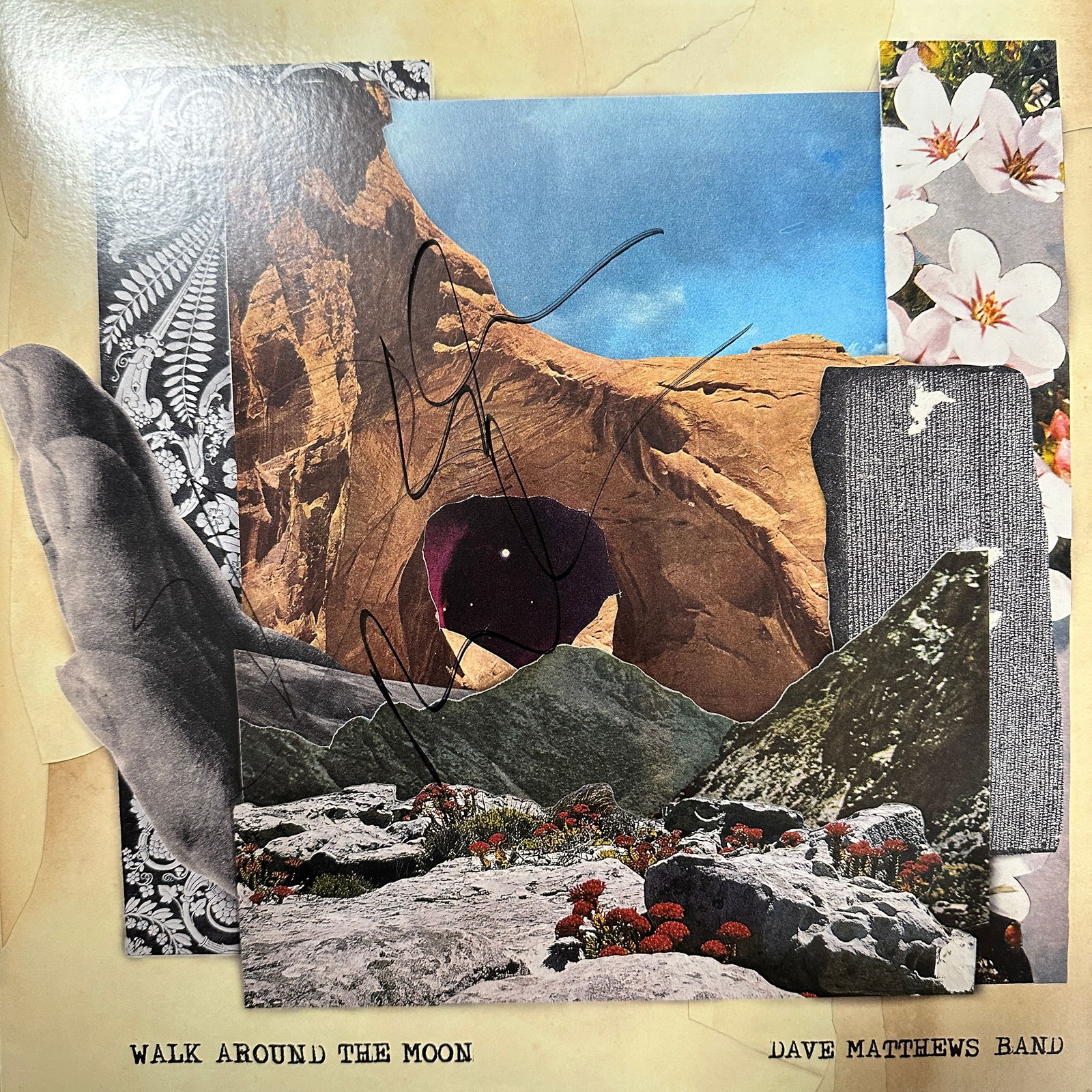 Dave Matthews Autographed Album (1 of 1)