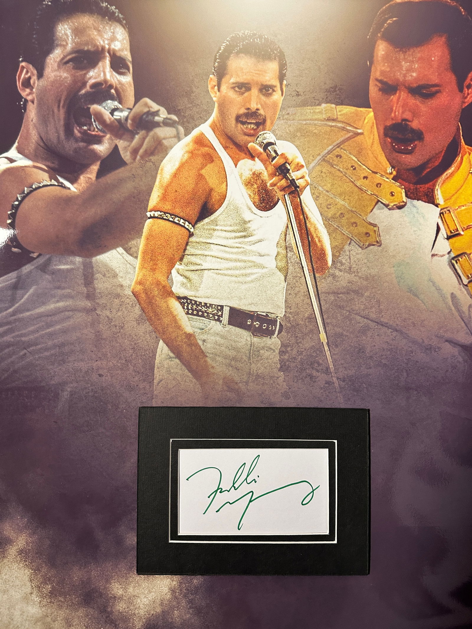 Freddie Mercury Autographed Display (1 of 1)