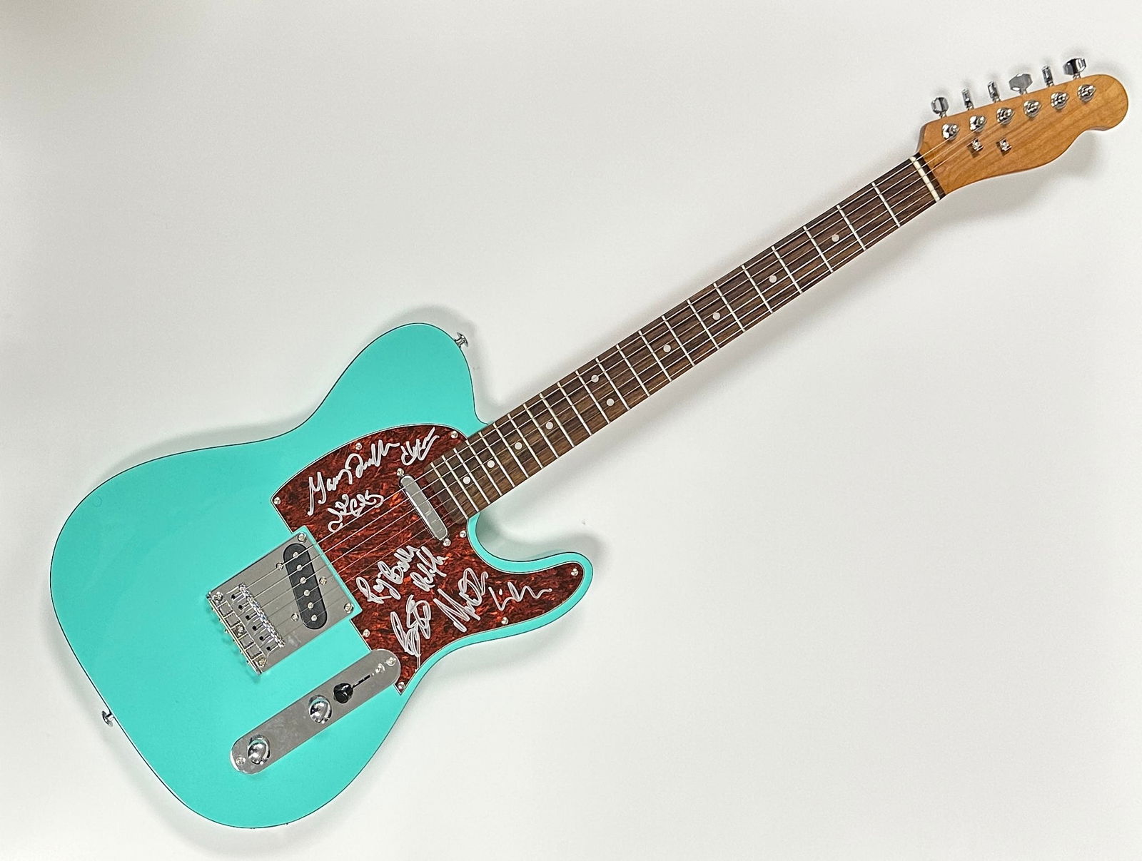 Bruce Springsteen and the E Street Band Autographed Guitar (1 of 1)