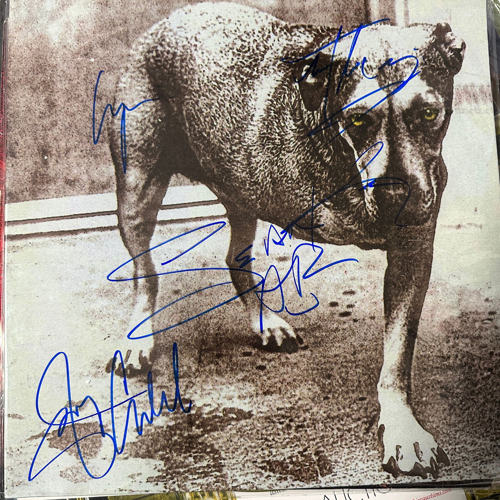 Alice in Chains Autographed Album LAYNE SEAN MIKE JERRY (1 of 1)