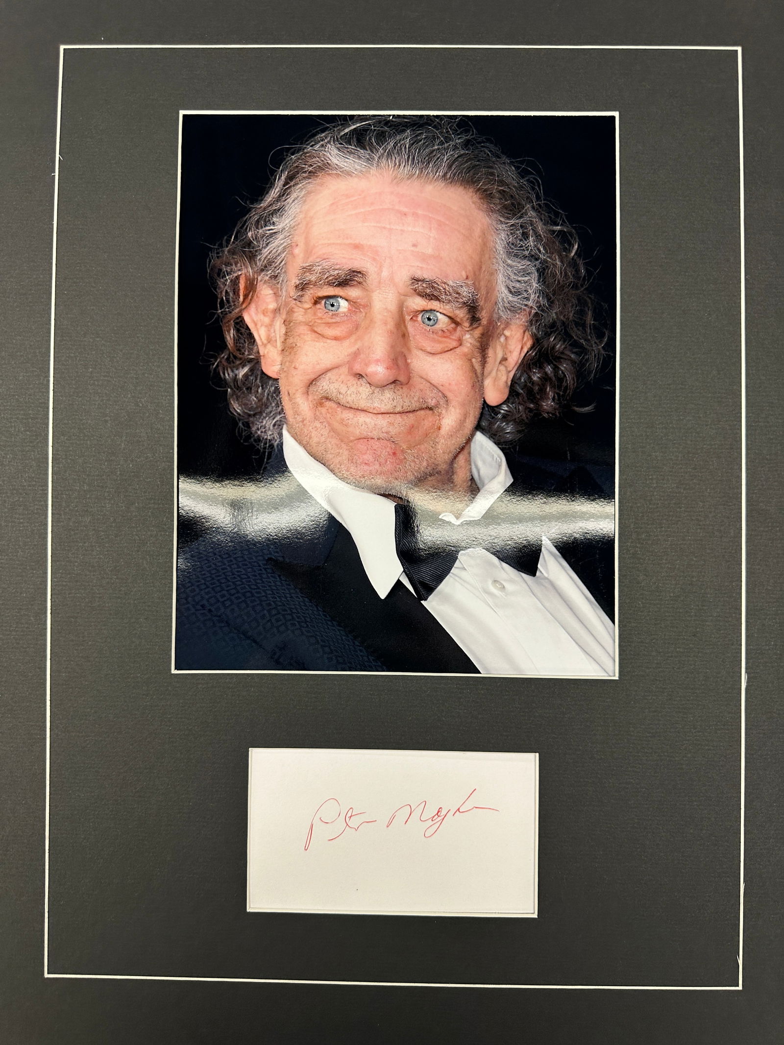 Peter Mayhew Autograph Display (1 of 1)
