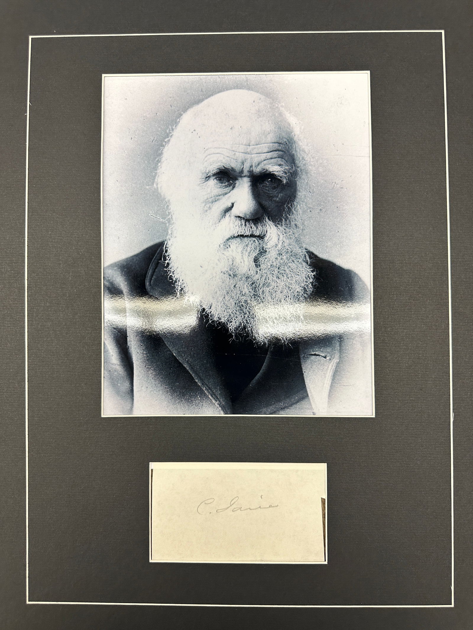 Charles Darwin Autograph Display (1 of 1)