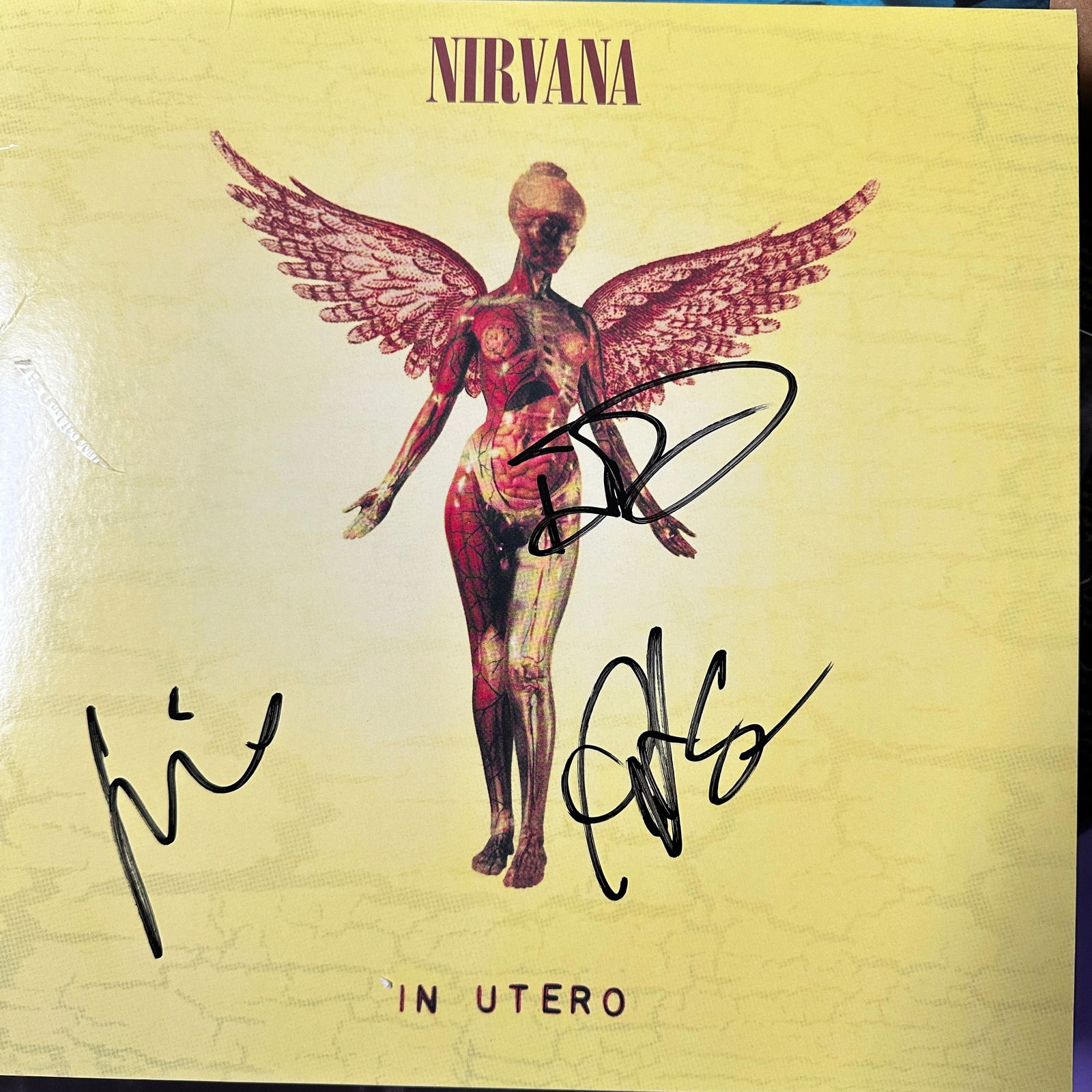 Dave KRIST Pat Smear Autographed Nirvana Album (1 of 1)