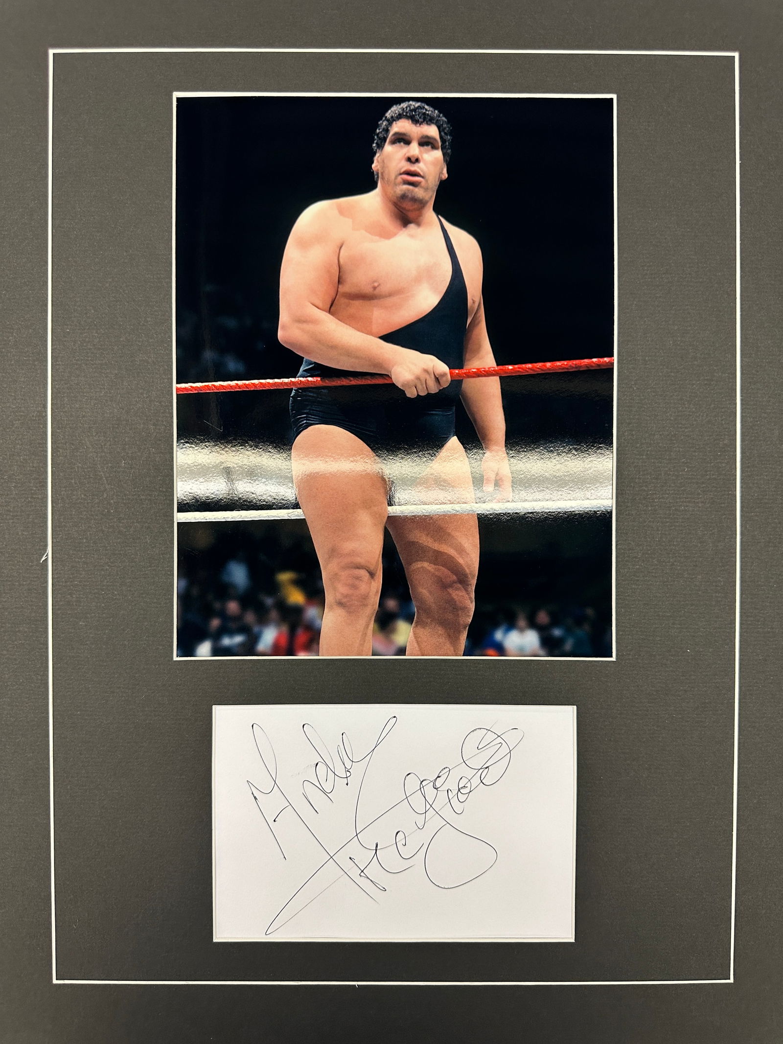 Andre The Giant Autograph Display (1 of 1)