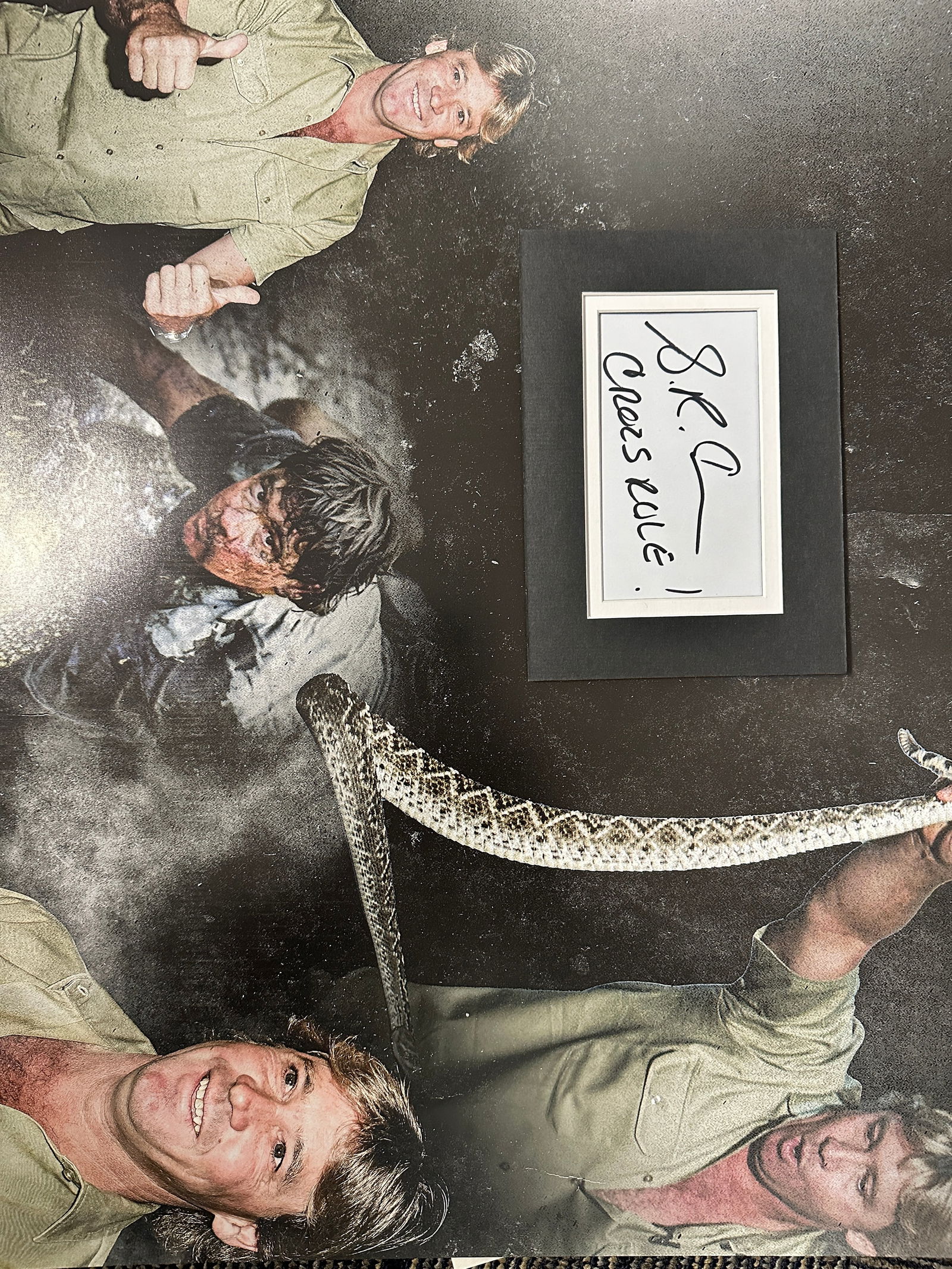 Steve Irwin Autographed Display (1 of 1)