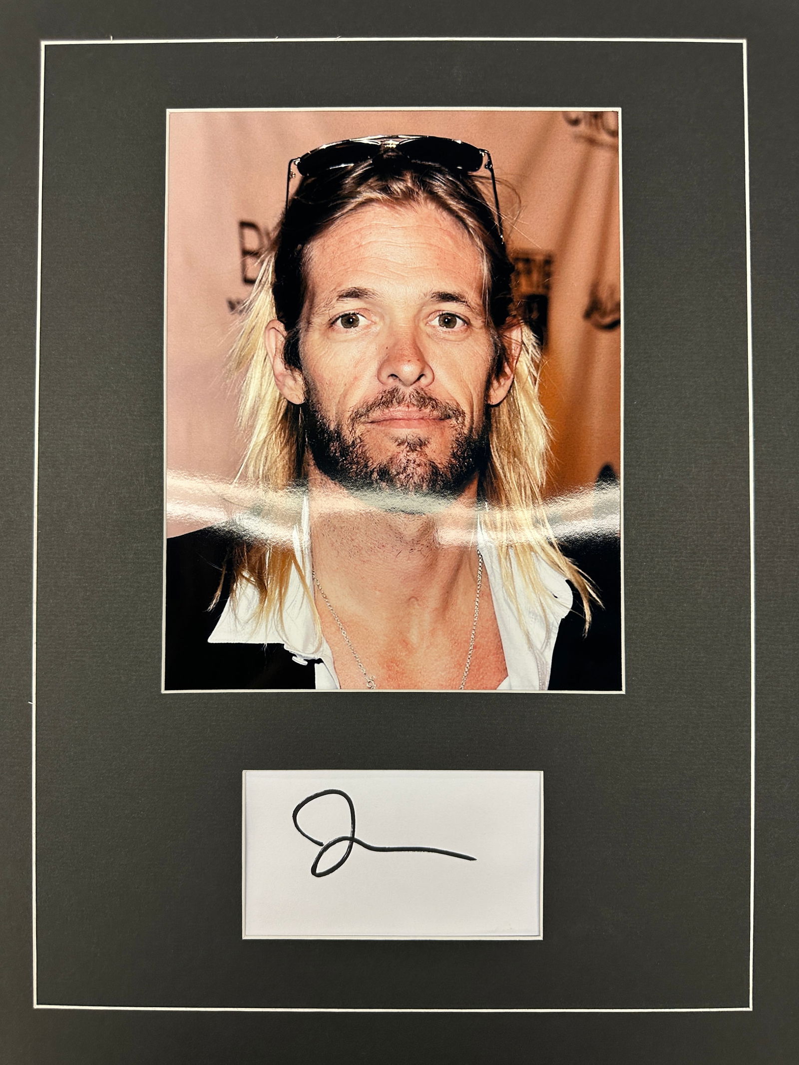 Taylor Hawkins Autograph Display (1 of 1)
