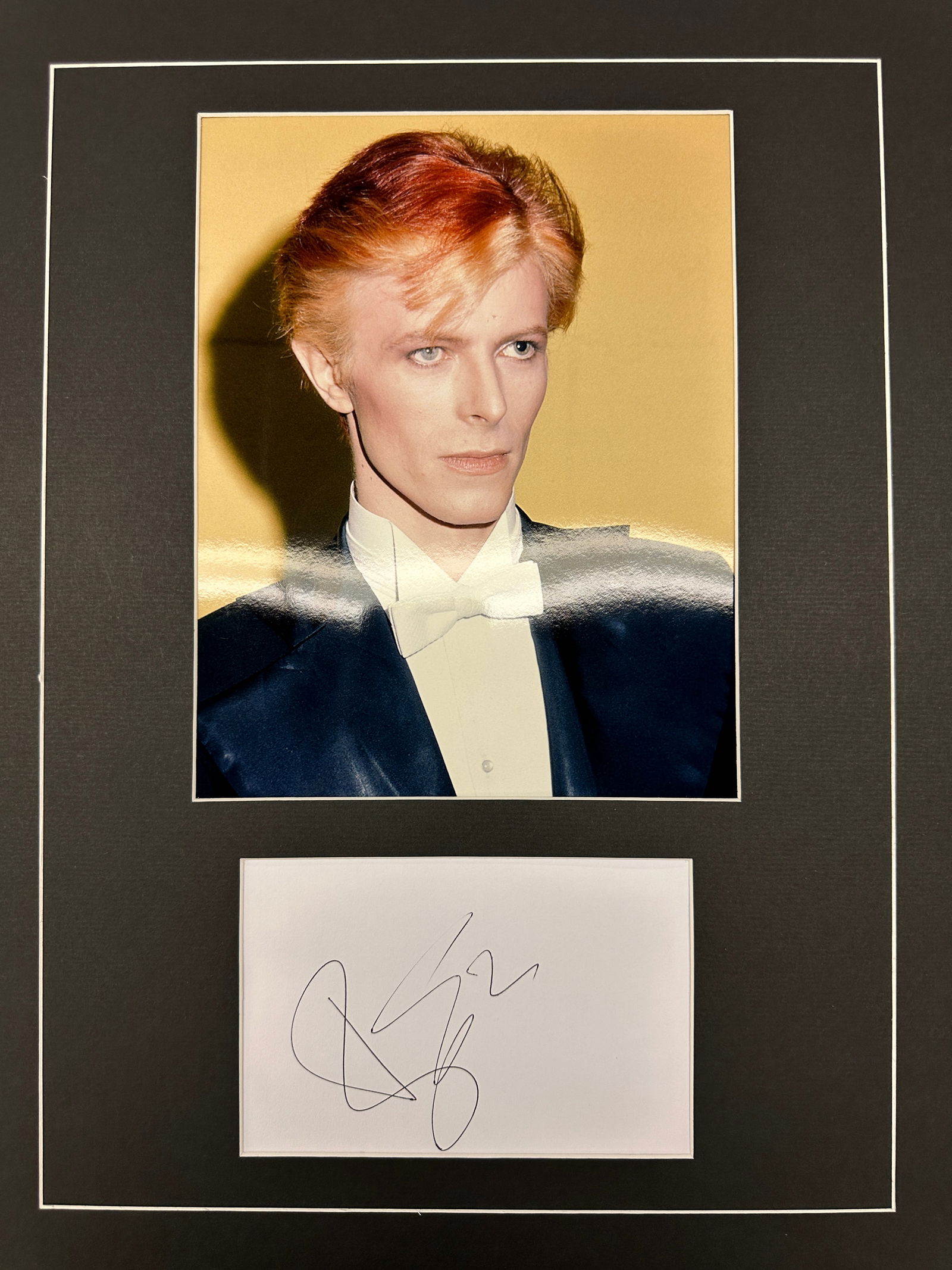 David Bowie Autograph Display (1 of 1)