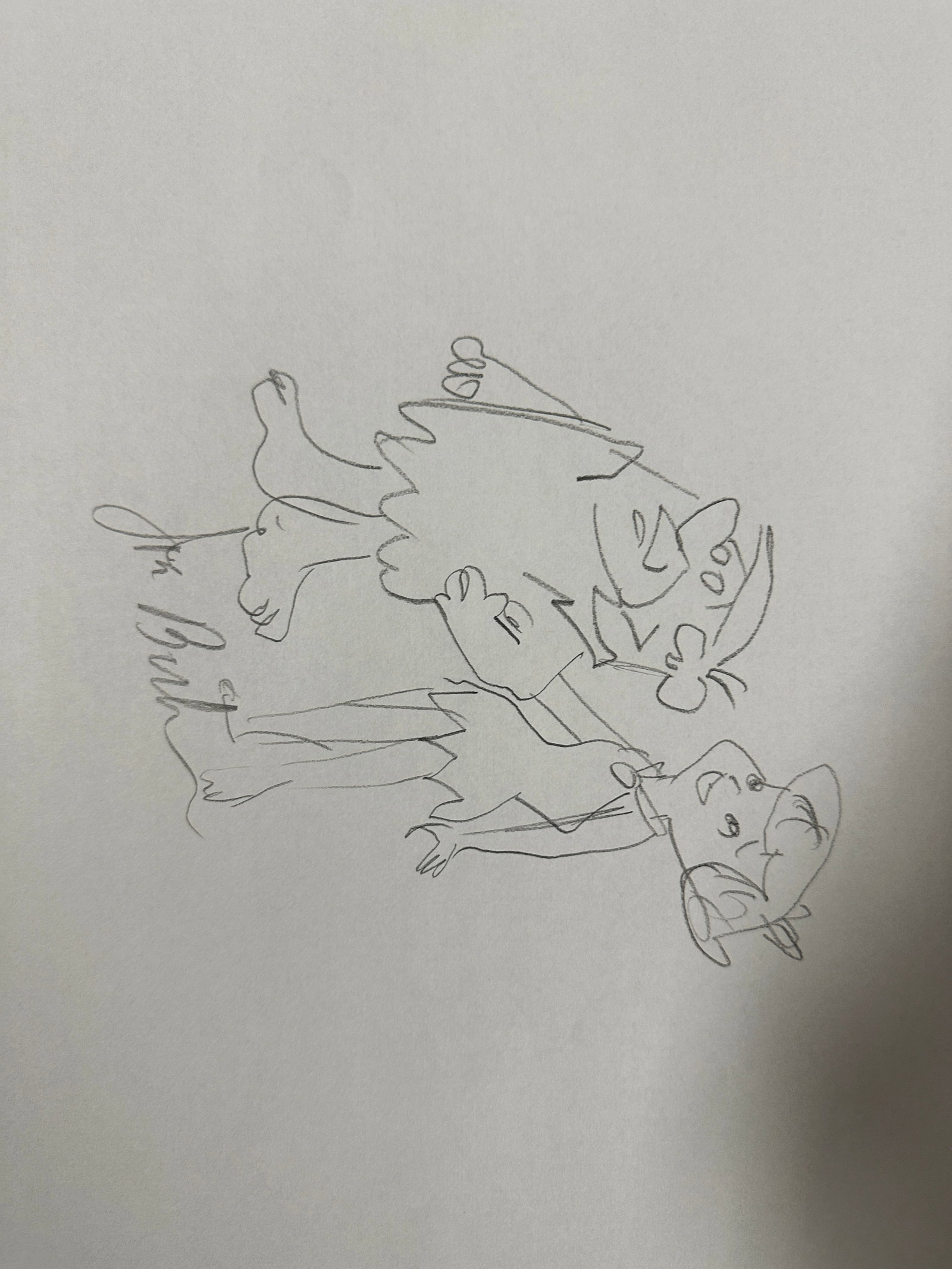 Joe Barbara Autographed Hand Drawn Barney Sketch: Displays are not framed, and can be framed for a cost. Framed items will state they are framed in the name of the item. All signed items come with a COA. All items now come with a 3rd Party COA from P