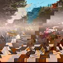 The Beatles Autographed Abbey Road ALBUM JOHN PAUL GEORGE RINGO