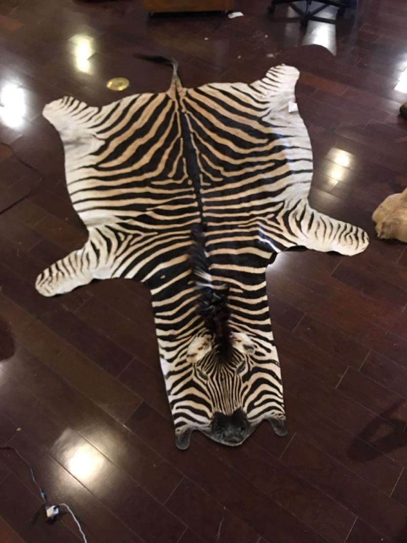 ZEBRA HIDE