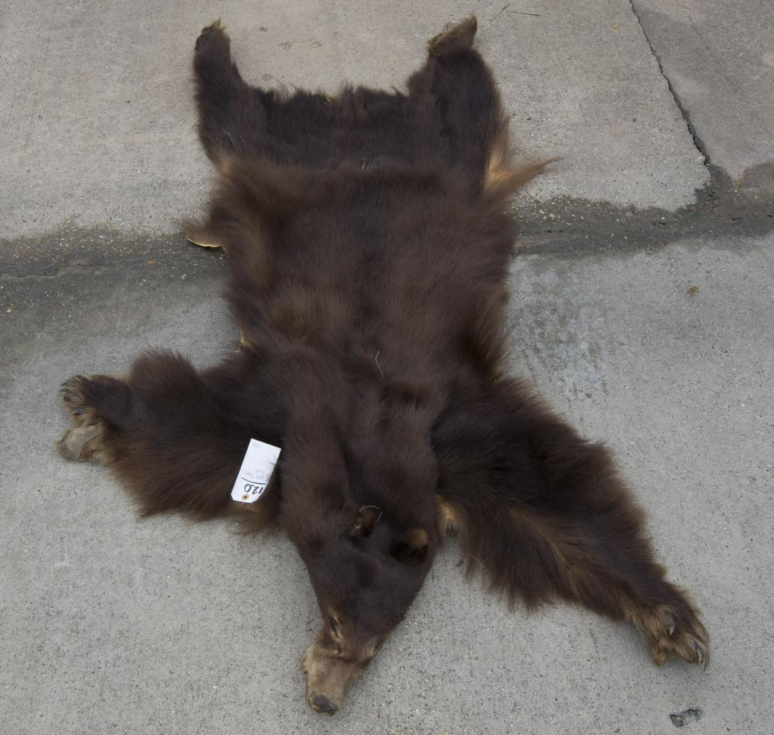 BLACK BEAR HIDE