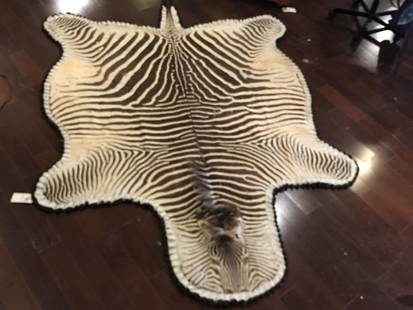 ZEBRA HIDE: ZEBRA HIDE