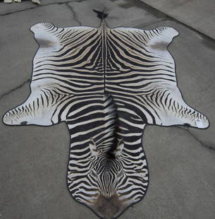 ZEBRA HIDE: ZEBRA HIDE