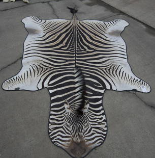 ZEBRA HIDE: ZEBRA HIDE